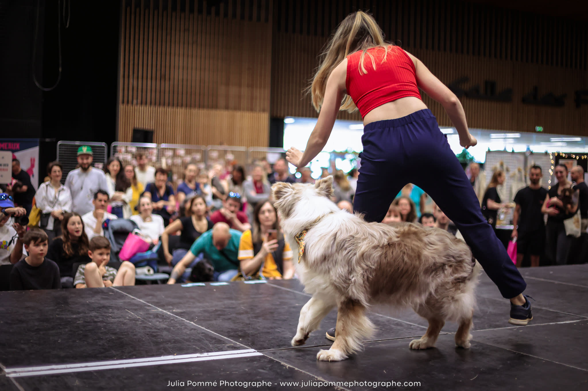 Photo du salon 2024 par Julia Pommé Photographe.