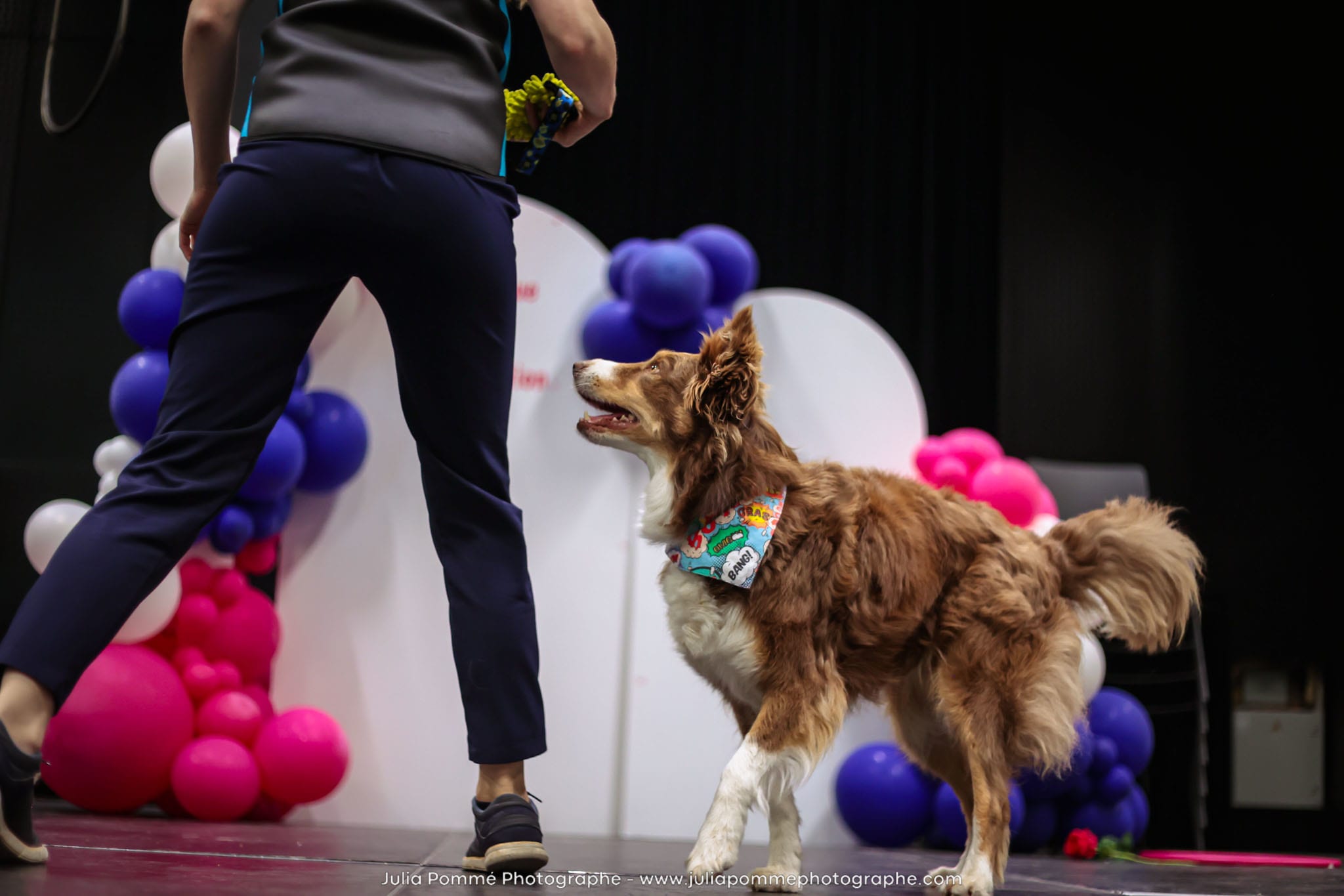 Photo du salon 2024 par Julia Pommé Photographe.