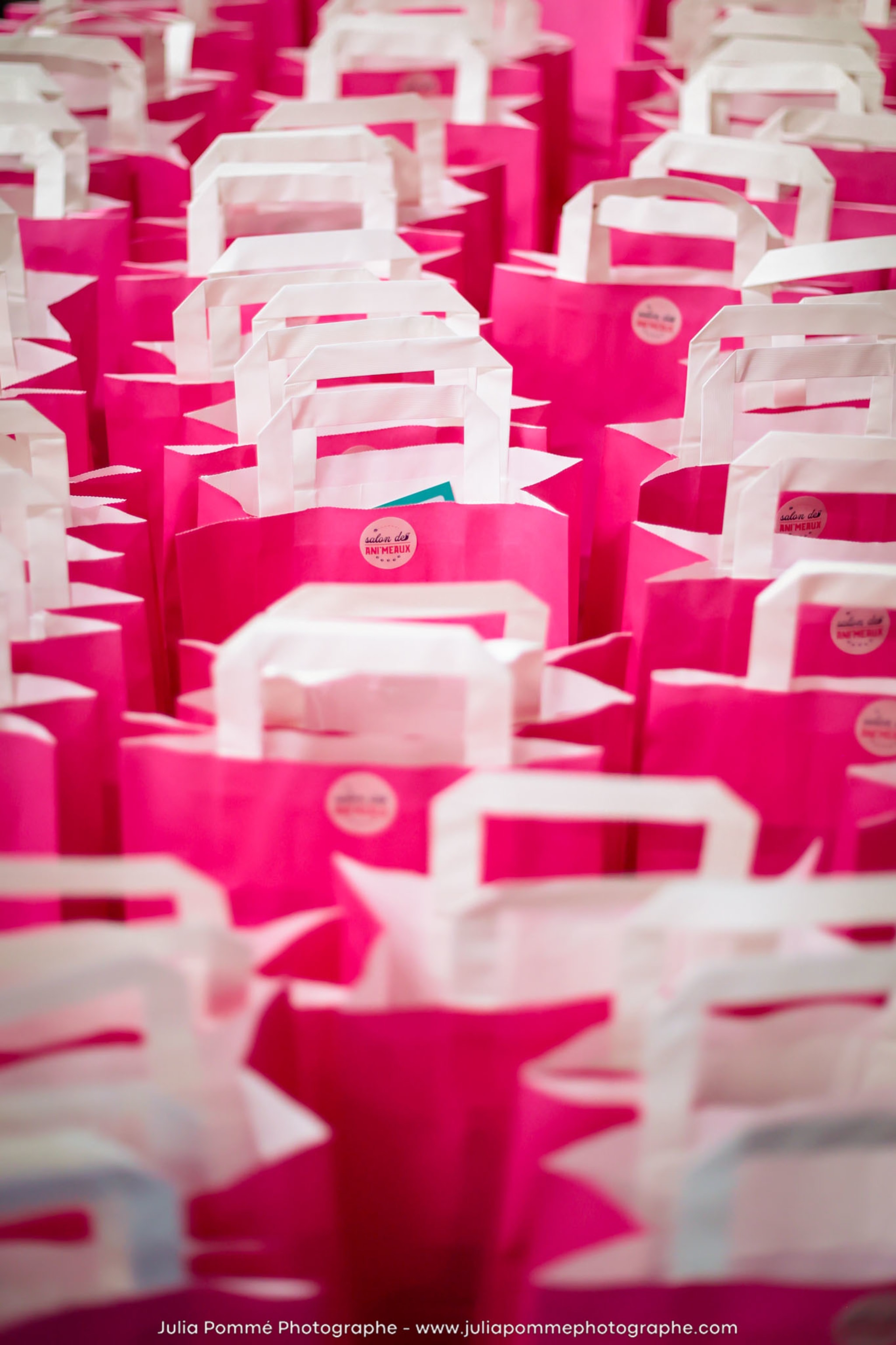 Photo du salon 2024 par Julia Pommé Photographe.