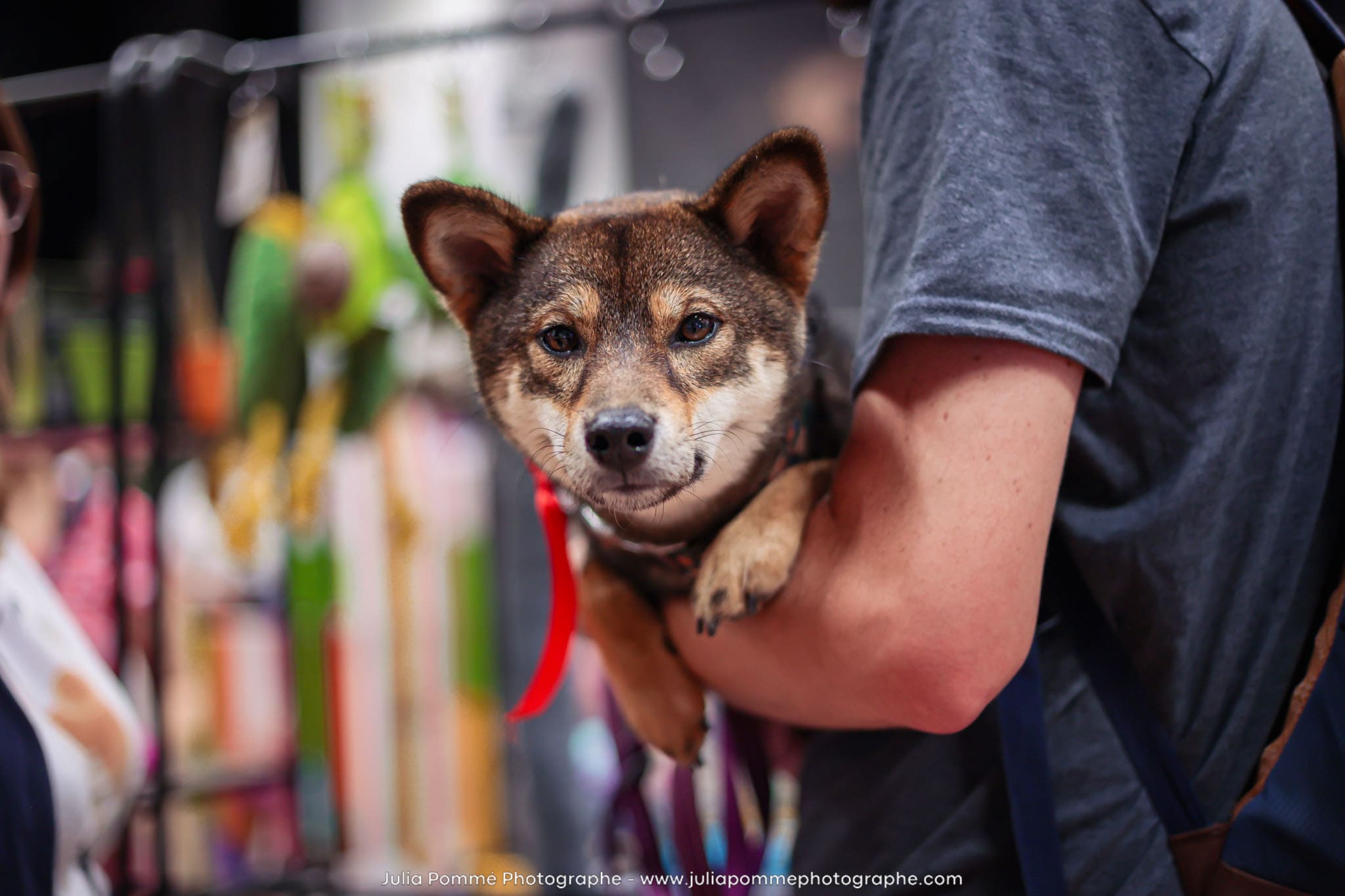 Photo du salon 2024 par Julia Pommé Photographe.