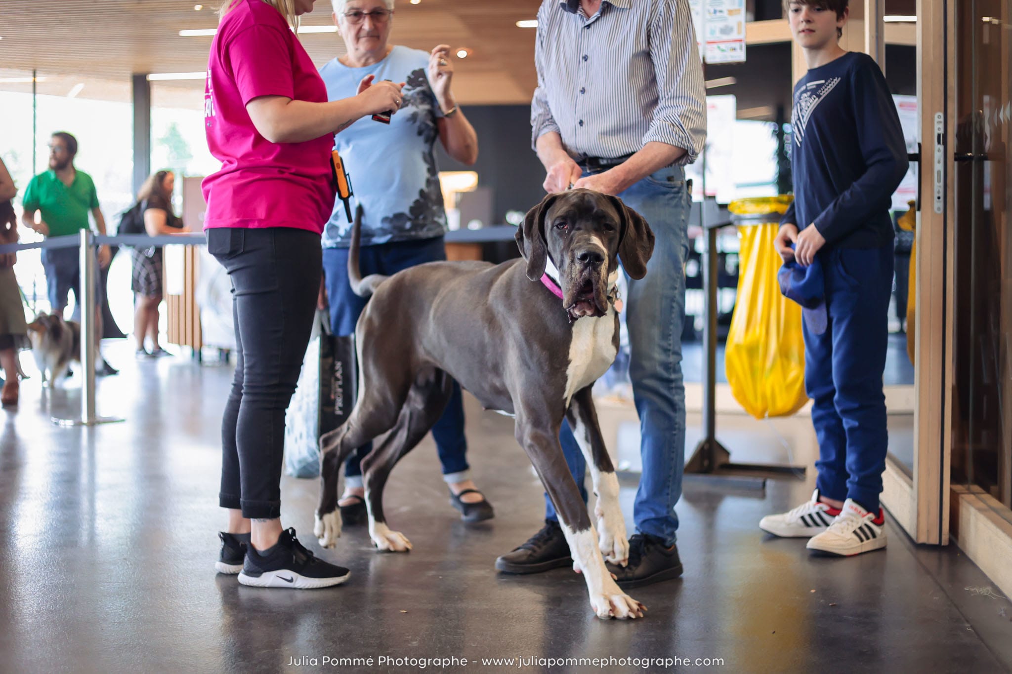 Photo du salon 2024 par Julia Pommé Photographe.