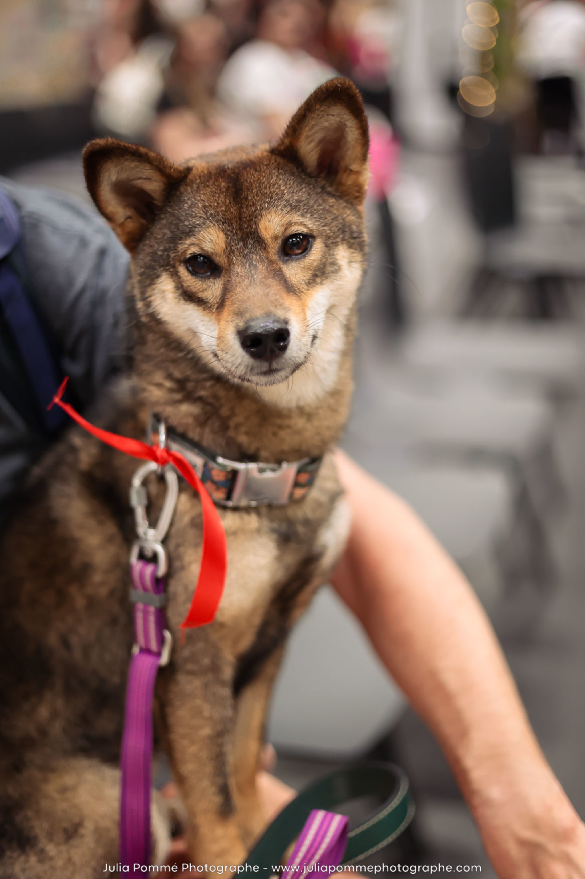 Photo du salon 2024 par Julia Pommé Photographe.