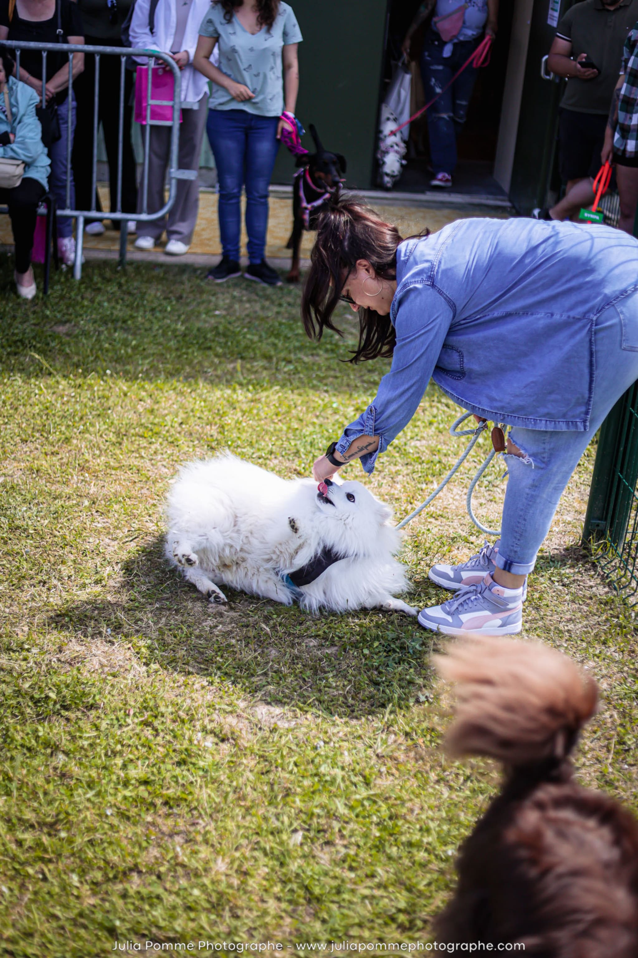 Photo du salon 2024 par Julia Pommé Photographe.