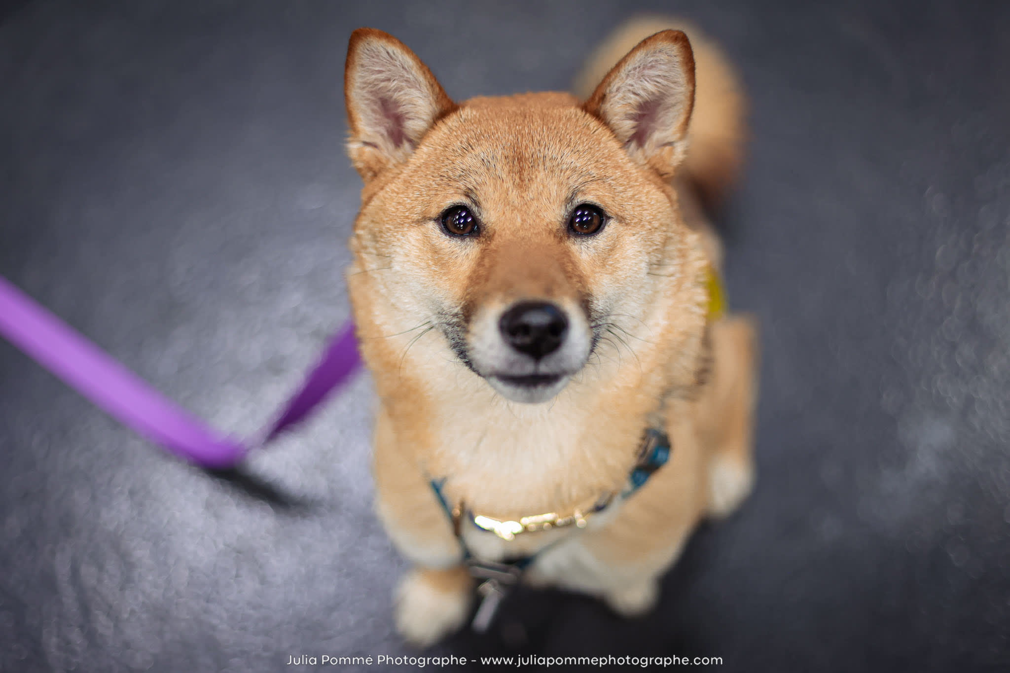 Photo du salon 2024 par Julia Pommé Photographe.