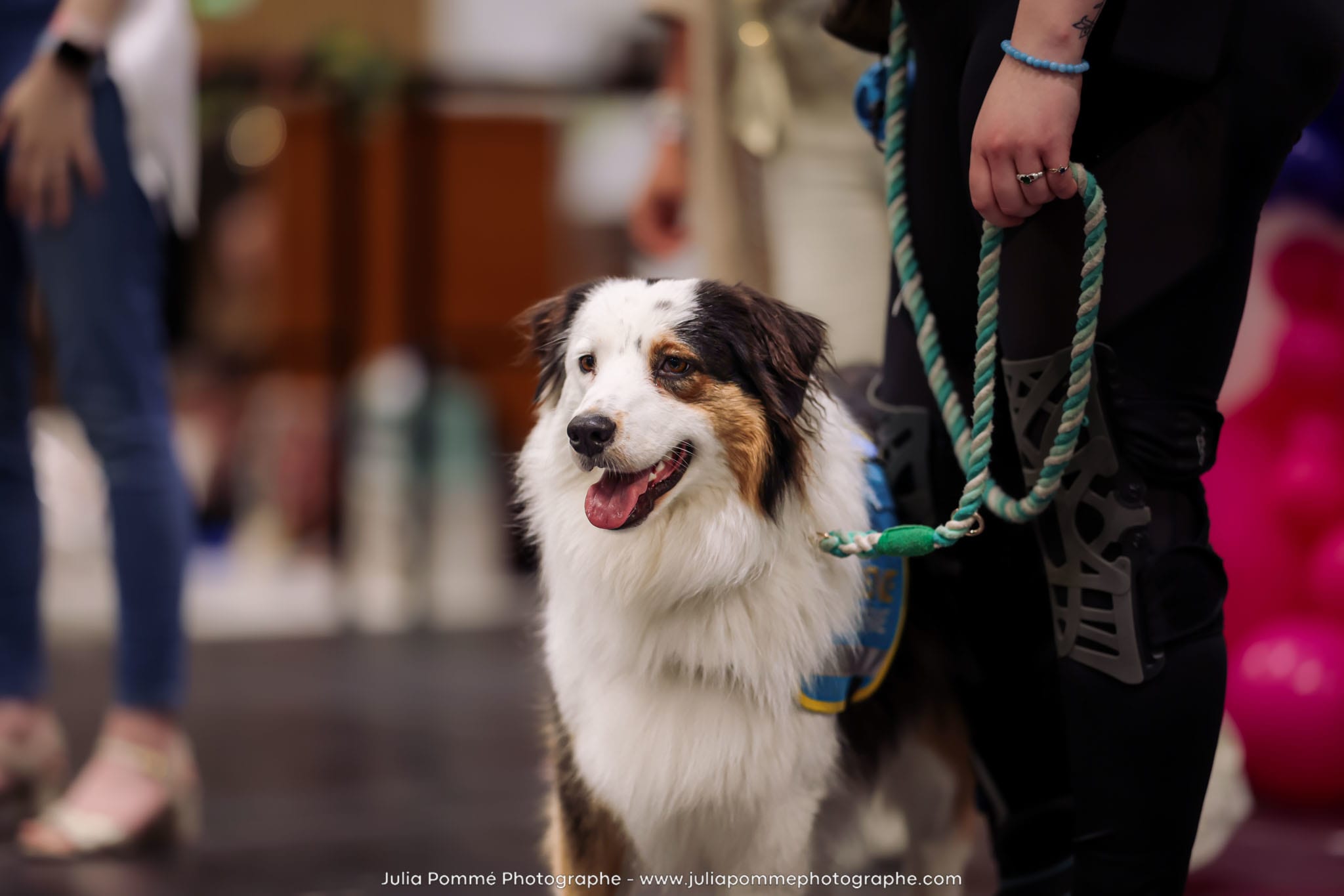 Photo du salon 2024 par Julia Pommé Photographe.