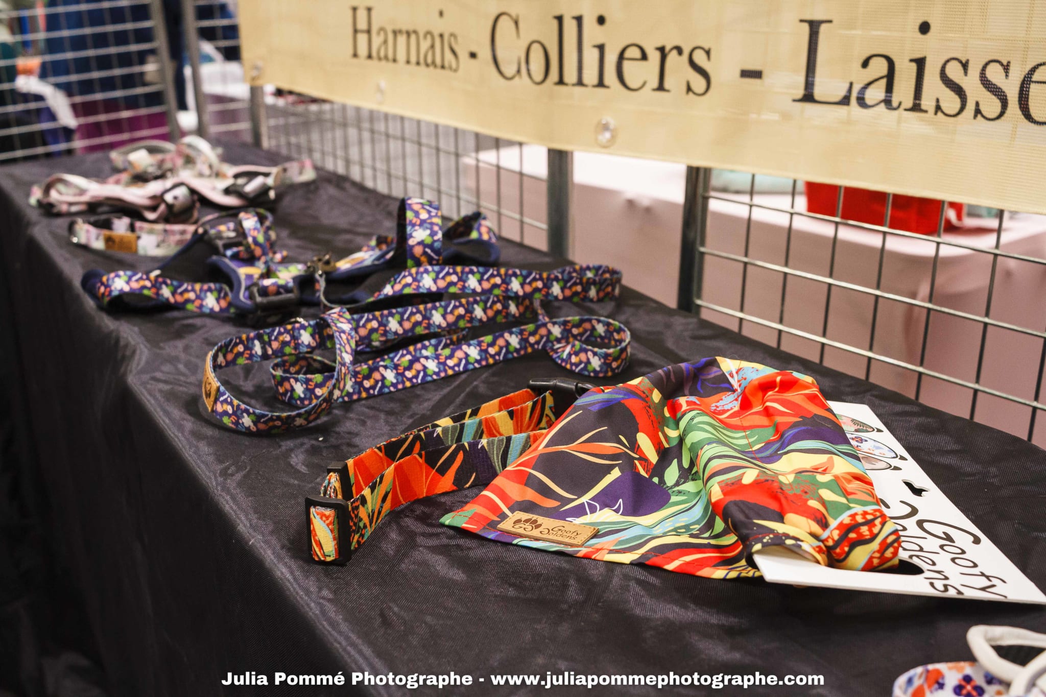 Photo du salon 2025 par Julia Pommé Photographe.