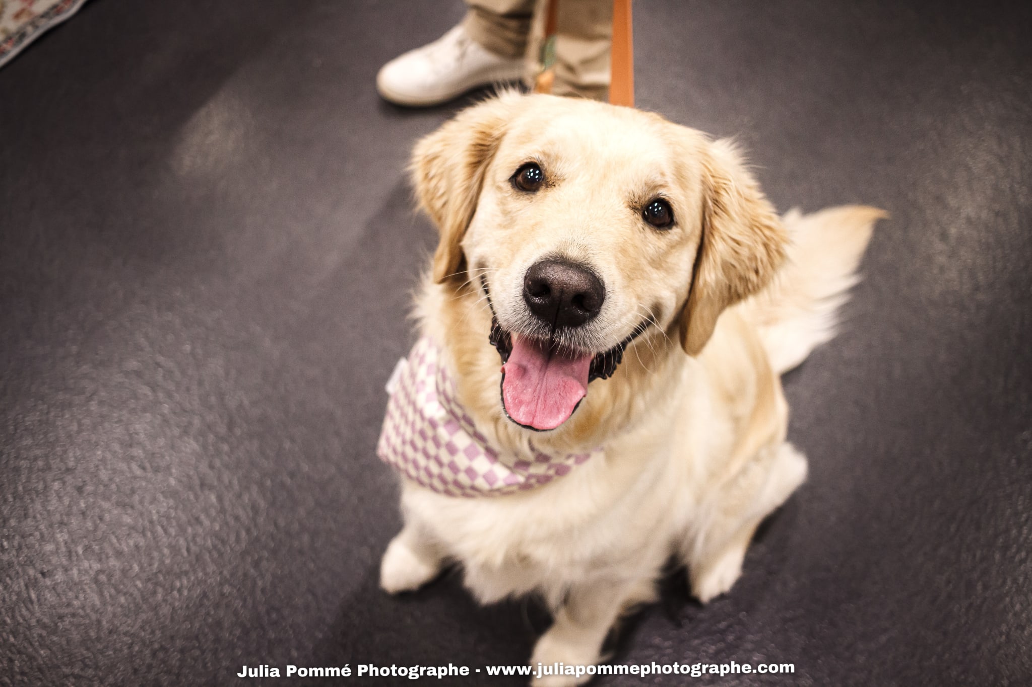 Photo du salon 2025 par Julia Pommé Photographe.