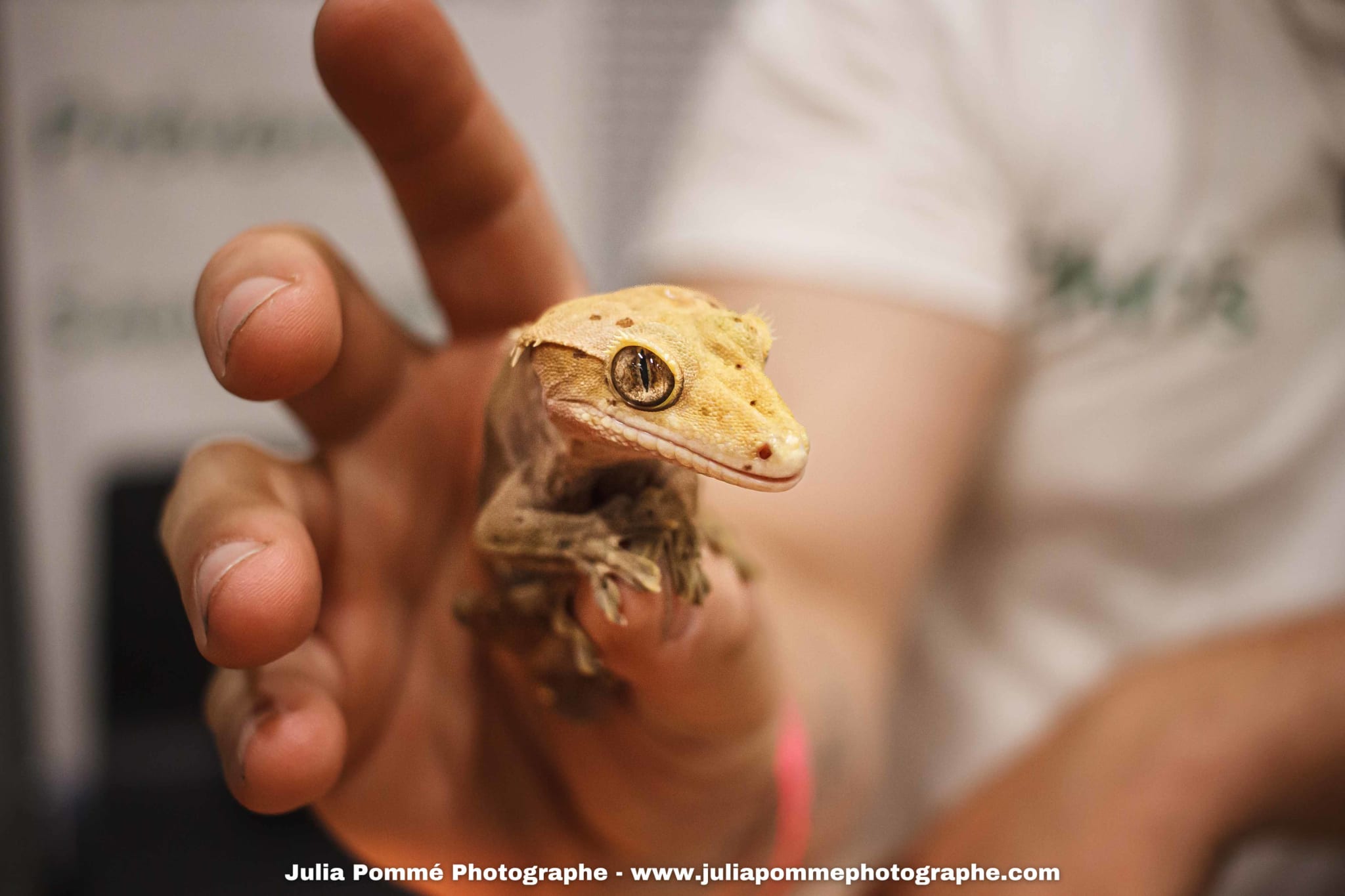 Photo du salon 2025 par Julia Pommé Photographe.