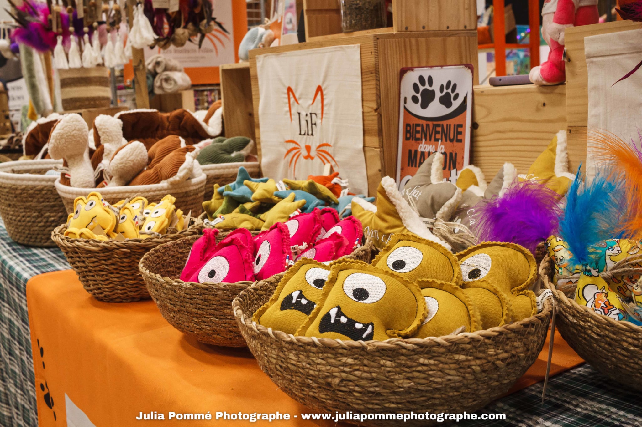 Photo du salon 2025 par Julia Pommé Photographe.