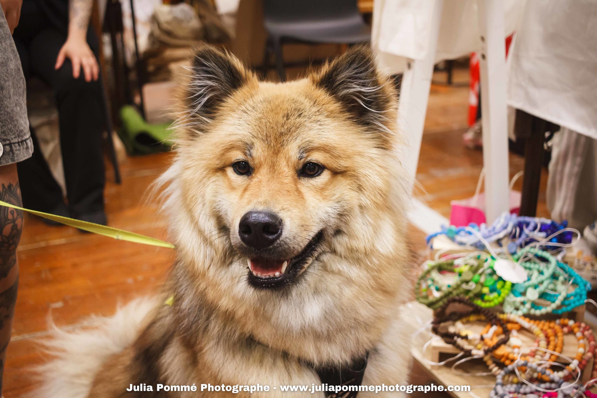 Photo du salon 2025 par Julia Pommé Photographe.