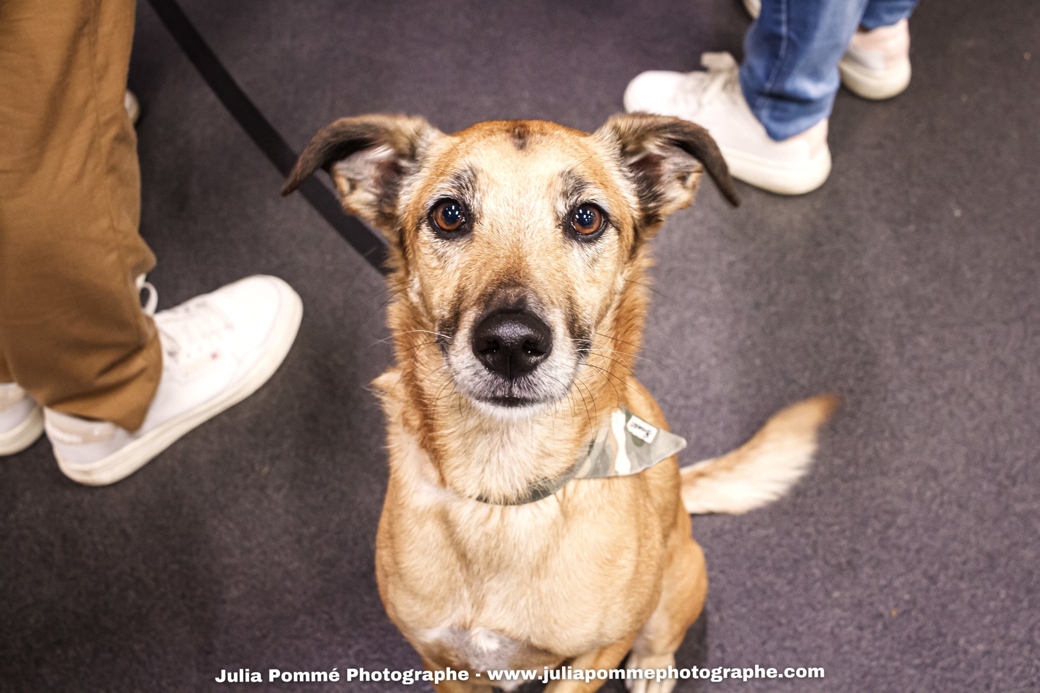 Photo du salon 2025 par Julia Pommé Photographe.