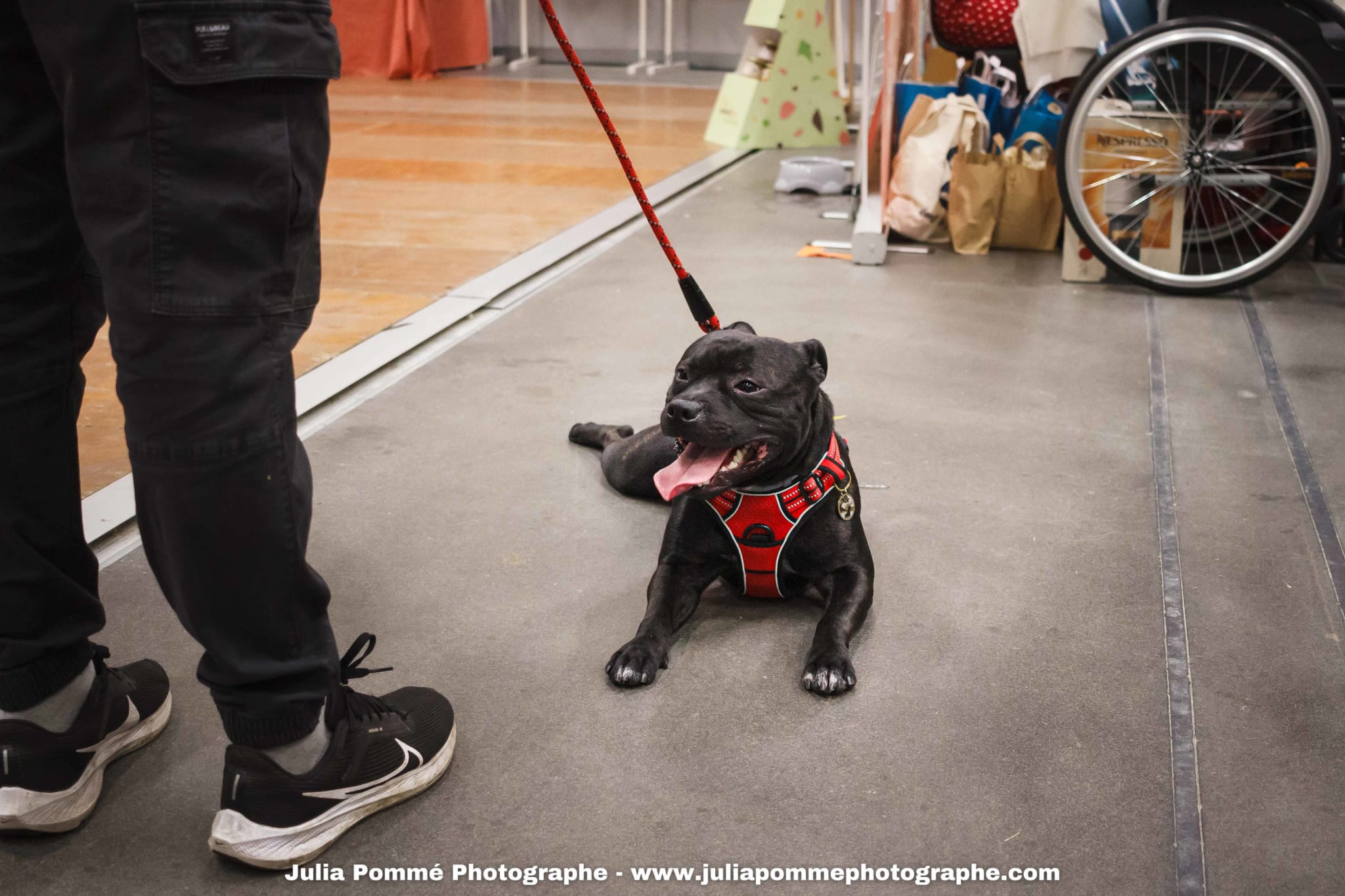 Photo du salon 2025 par Julia Pommé Photographe.
