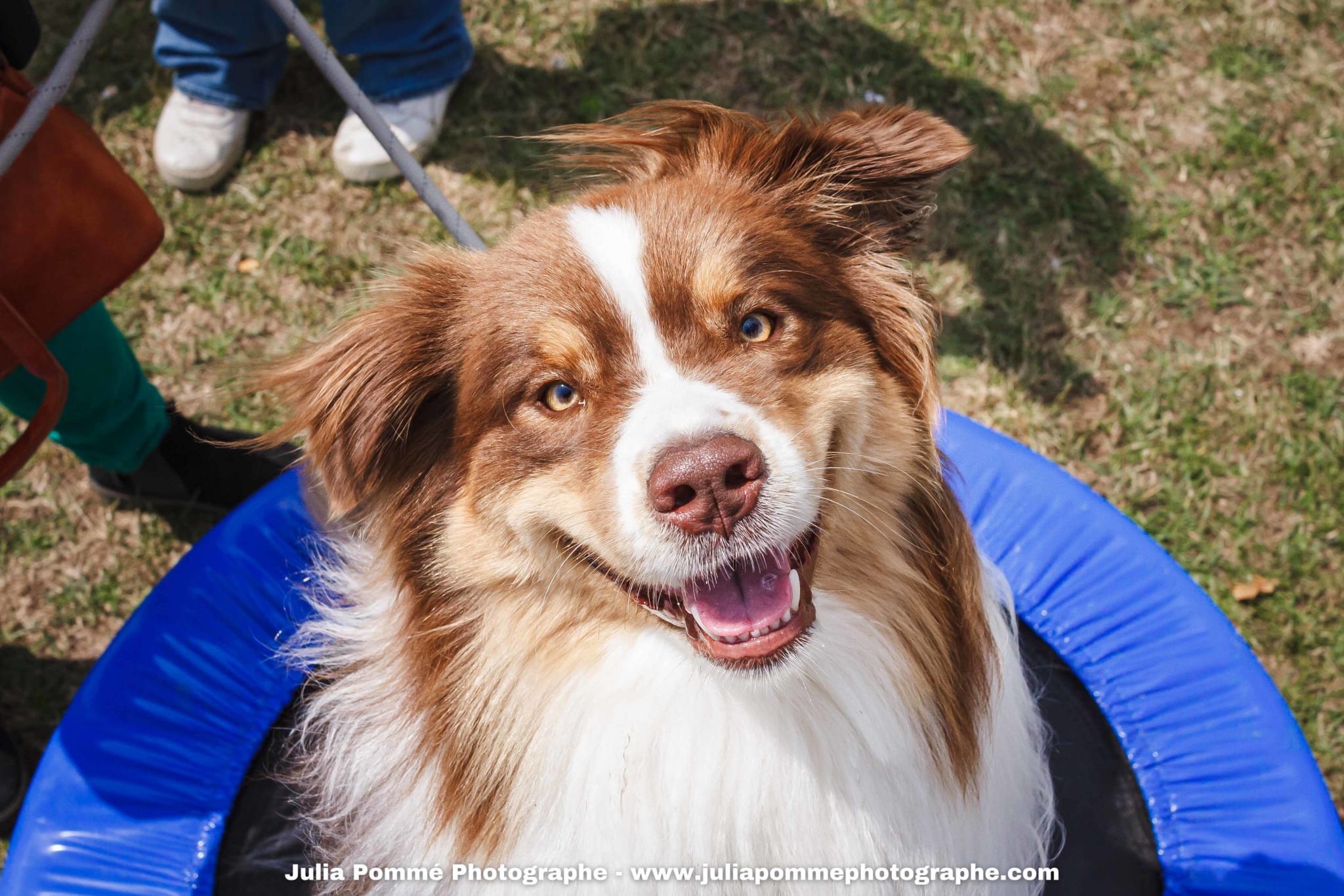Photo du salon 2025 par Julia Pommé Photographe.