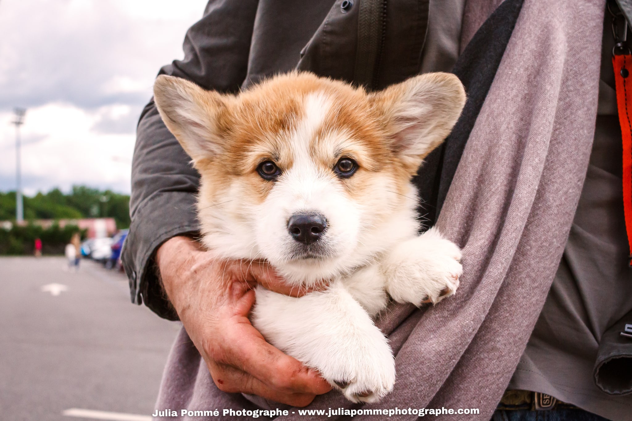 Photo du salon 2025 par Julia Pommé Photographe.