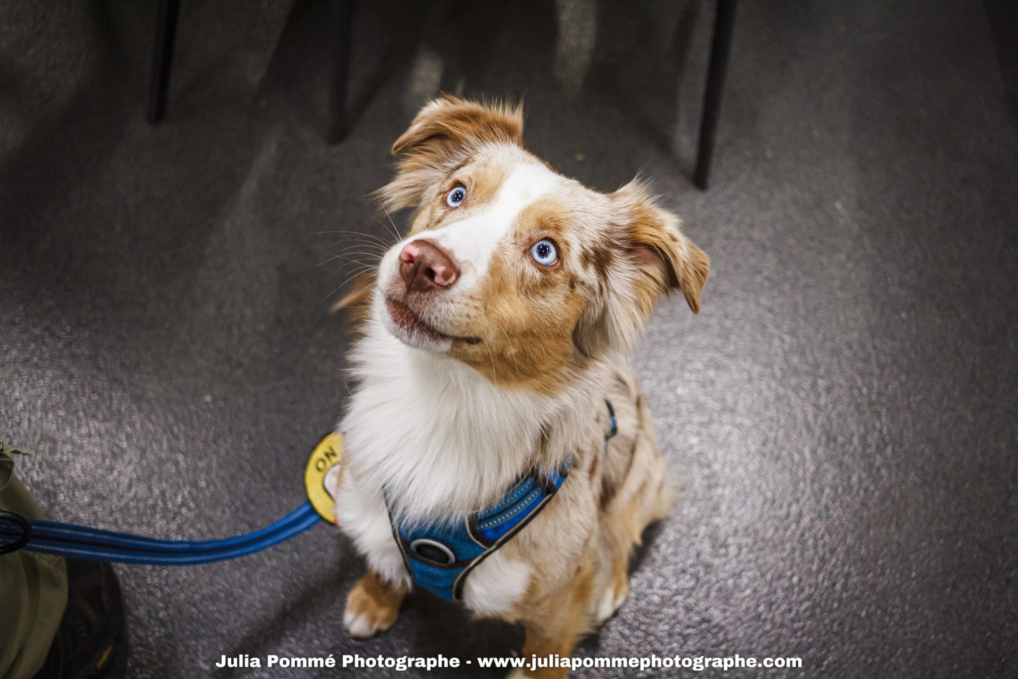 Photo du salon 2025 par Julia Pommé Photographe.