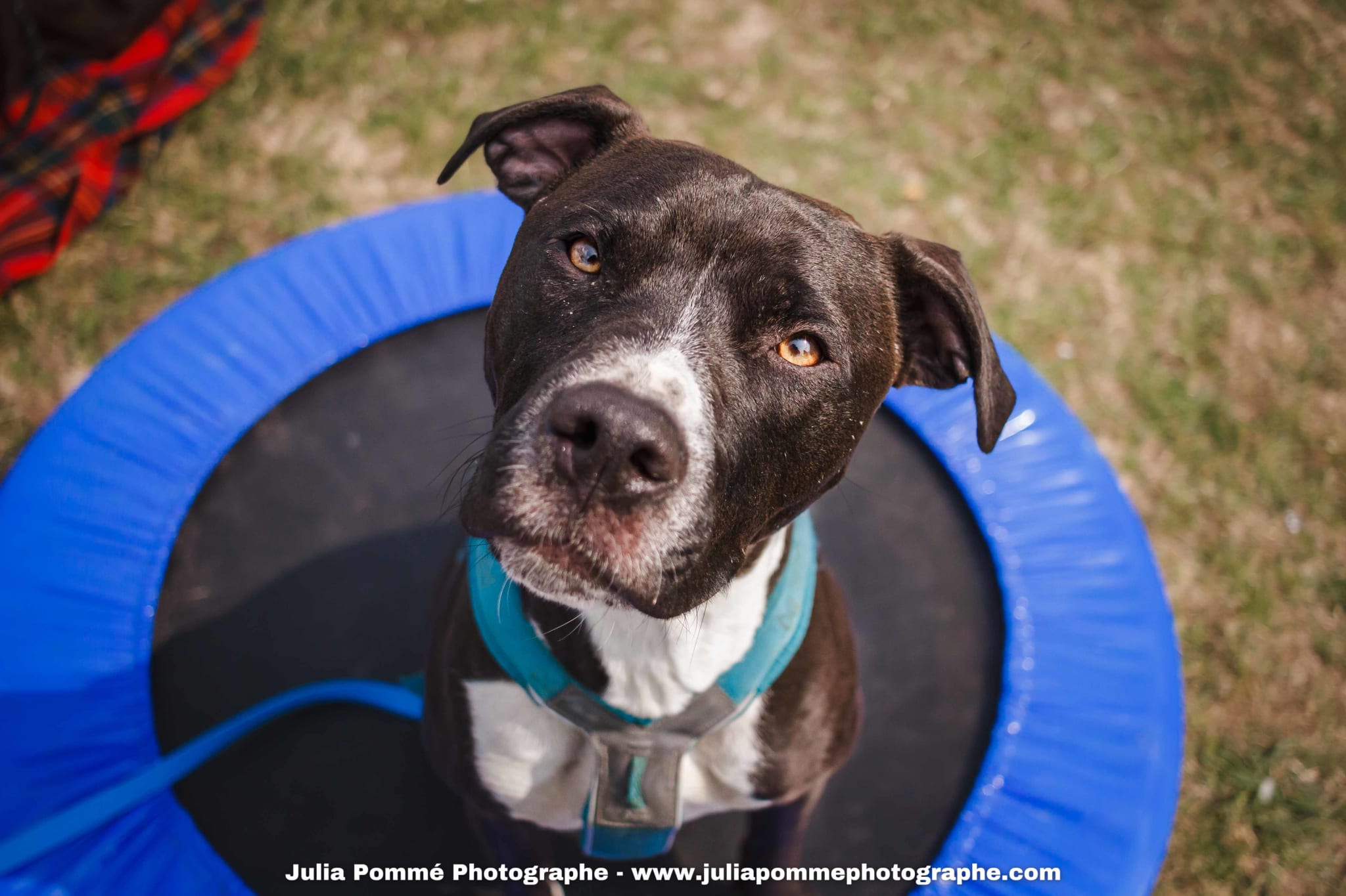Photo du salon 2025 par Julia Pommé Photographe.