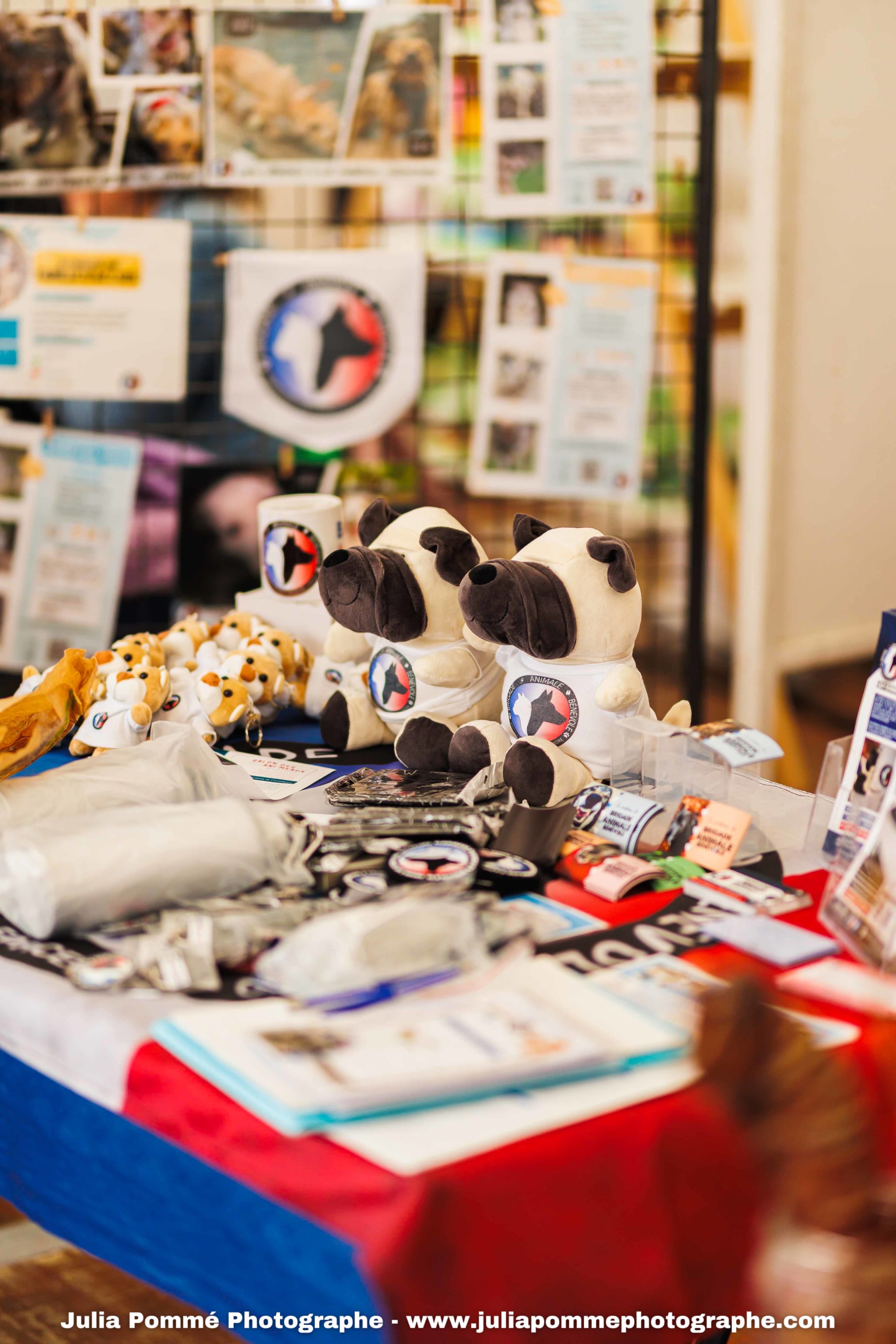 Photo du salon 2025 par Julia Pommé Photographe.