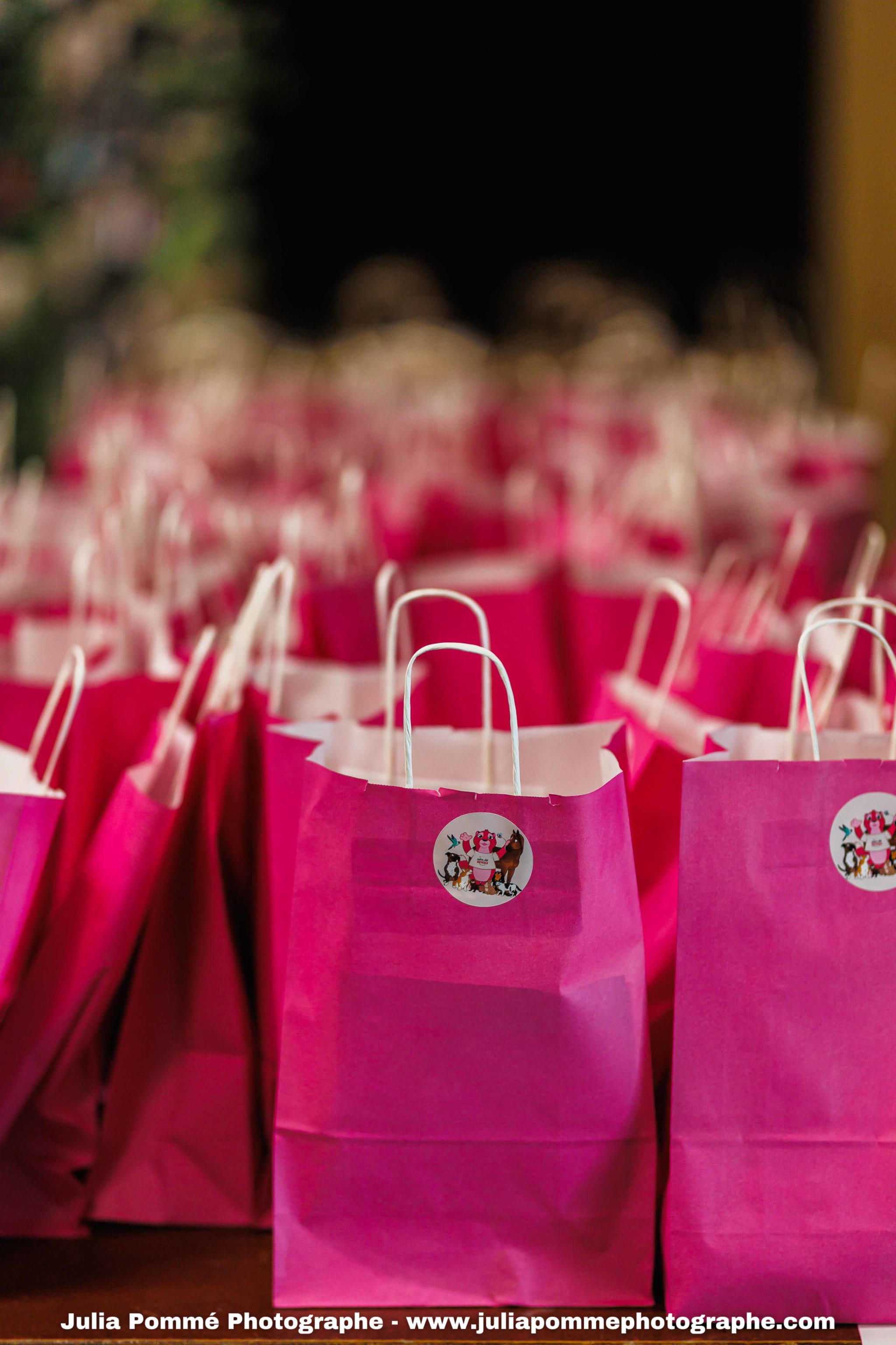 Photo du salon 2025 par Julia Pommé Photographe.