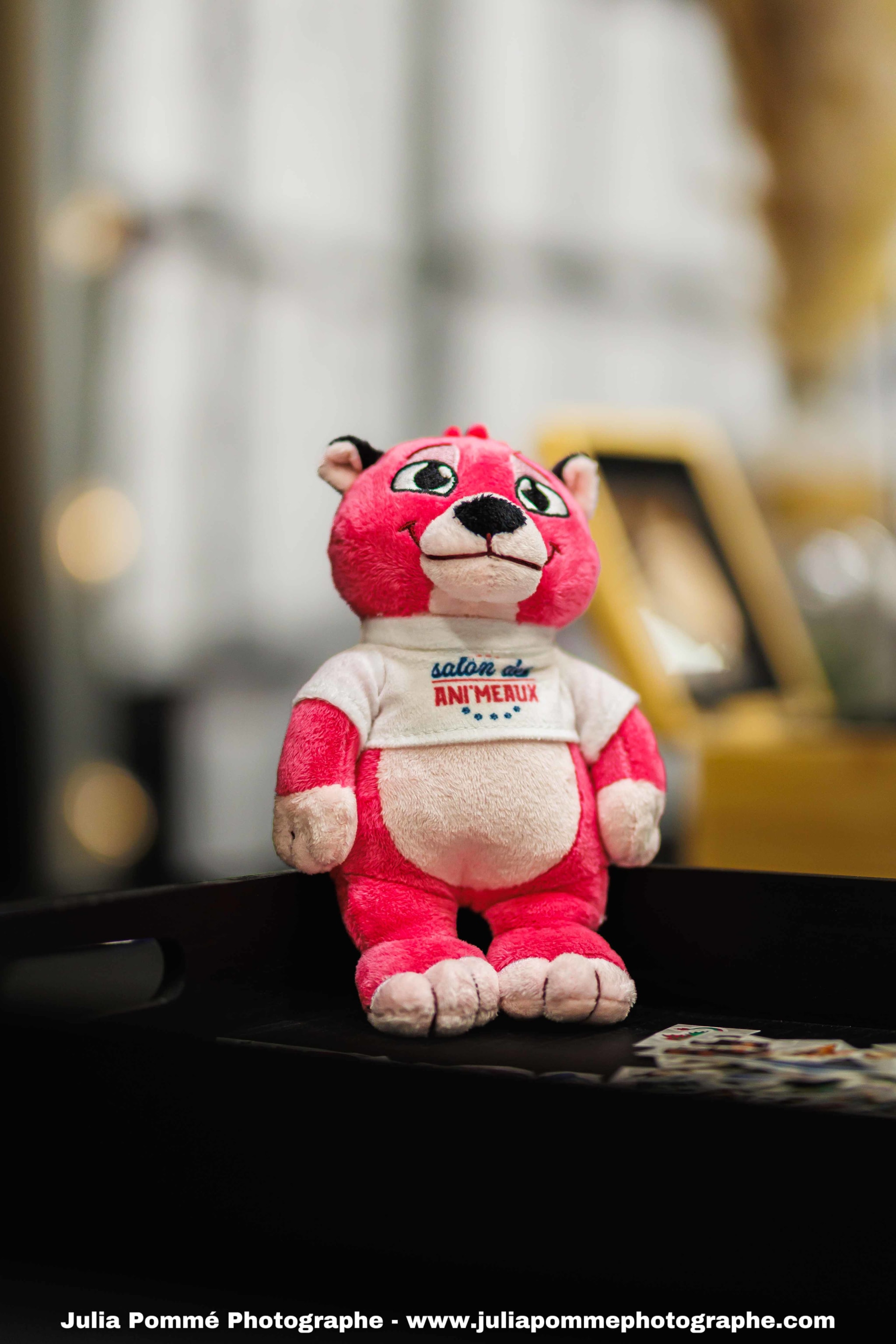 Photo du salon 2025 par Julia Pommé Photographe.