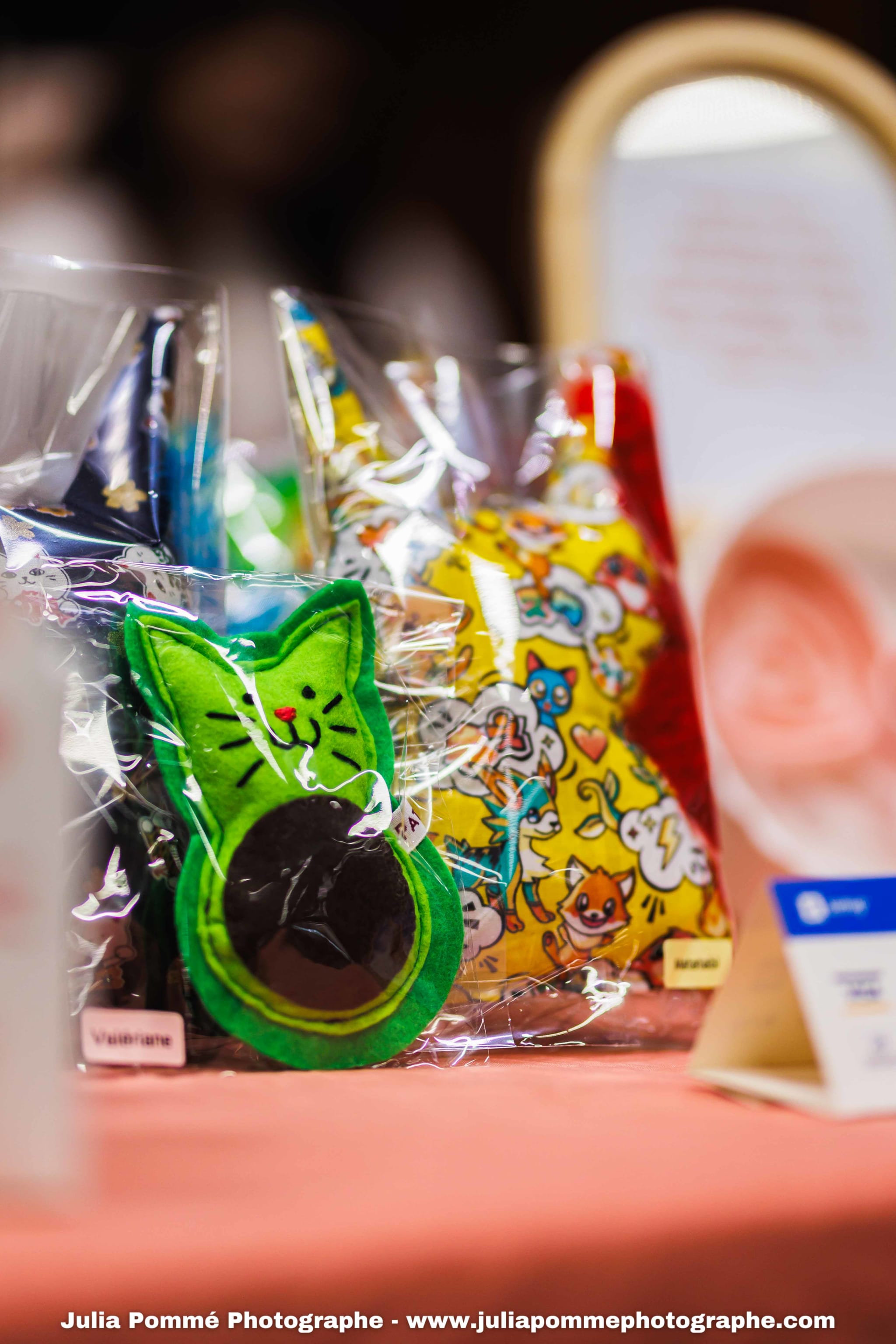 Photo du salon 2025 par Julia Pommé Photographe.