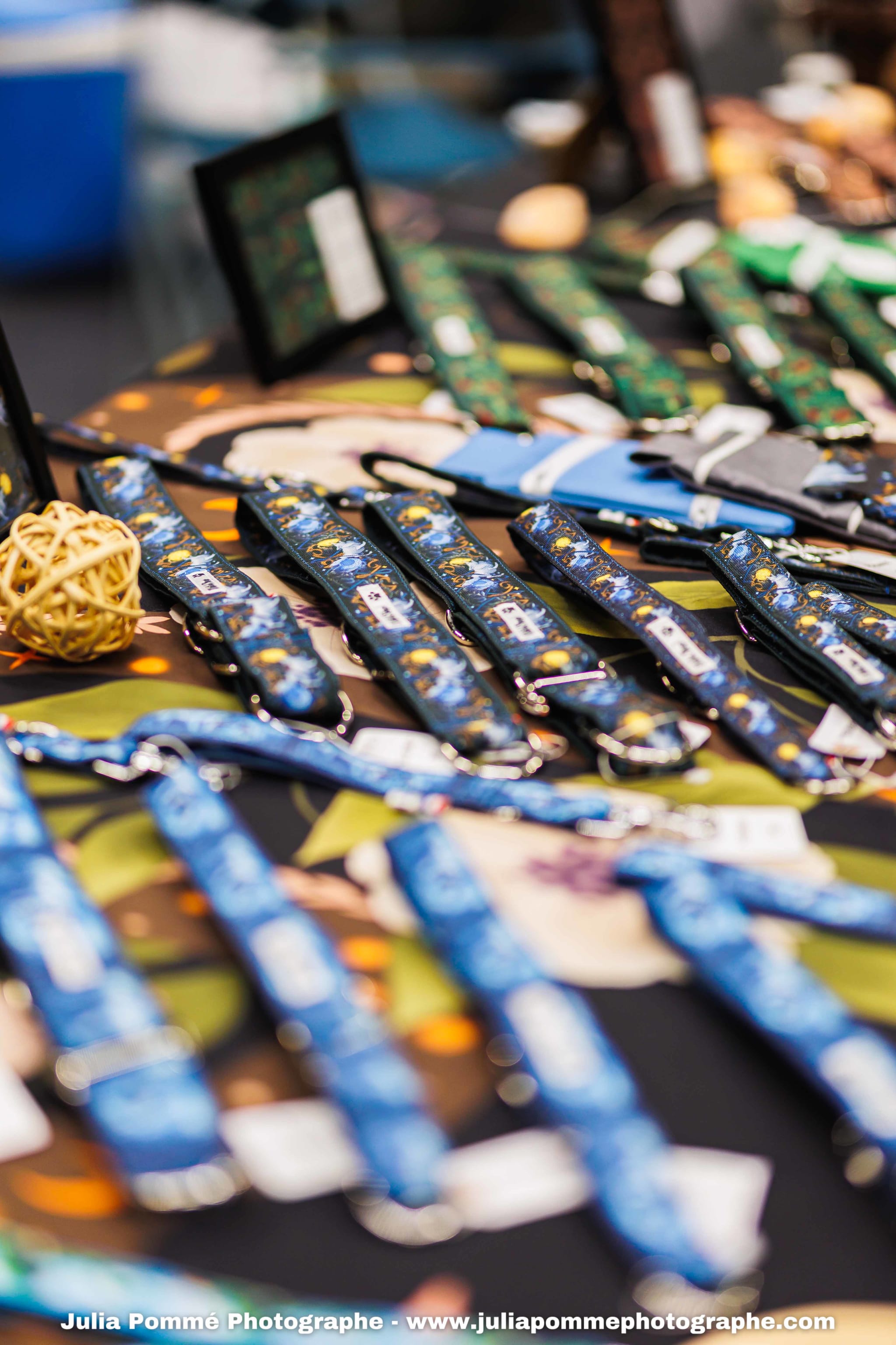 Photo du salon 2025 par Julia Pommé Photographe.