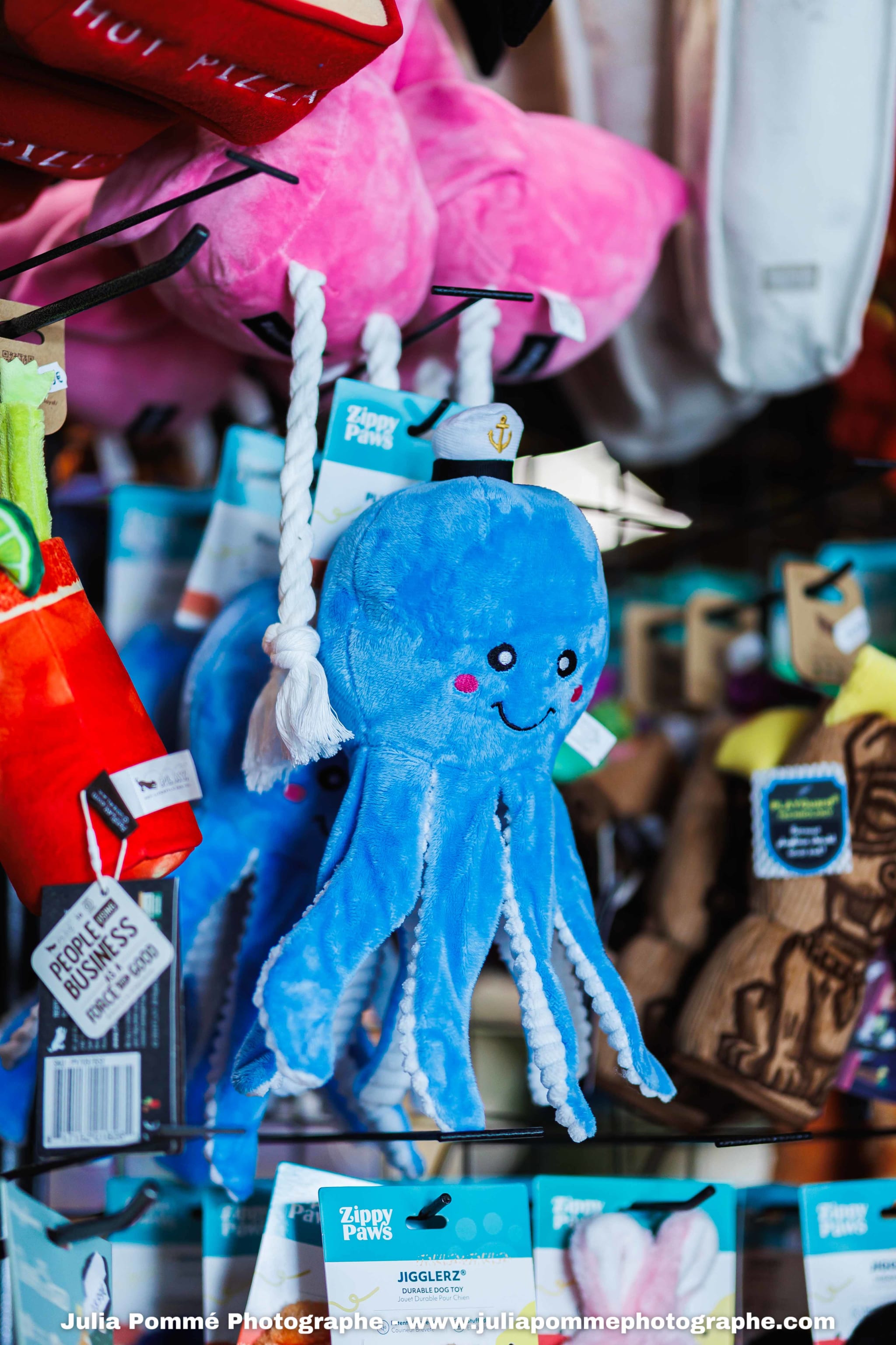 Photo du salon 2025 par Julia Pommé Photographe.