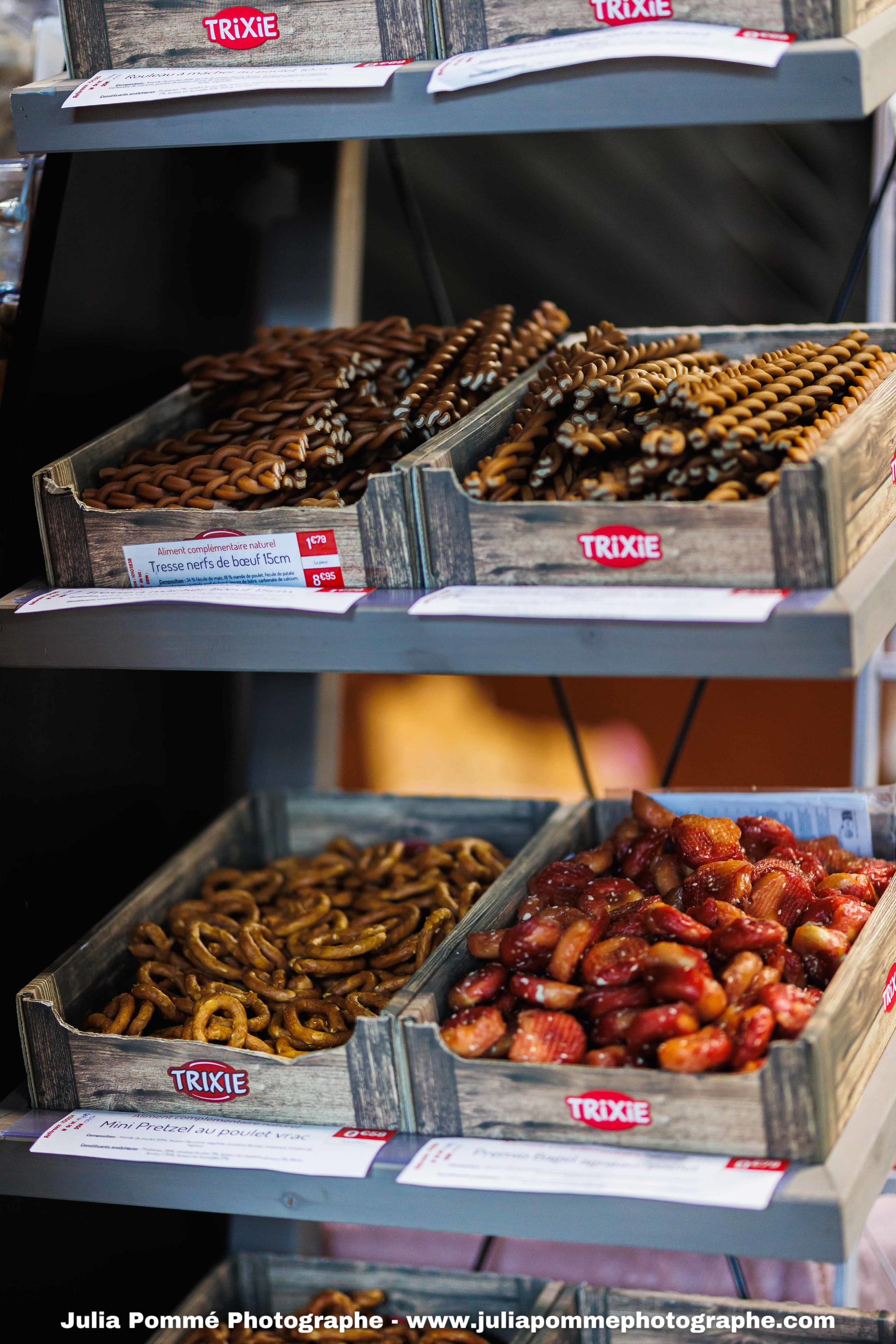 Photo du salon 2025 par Julia Pommé Photographe.