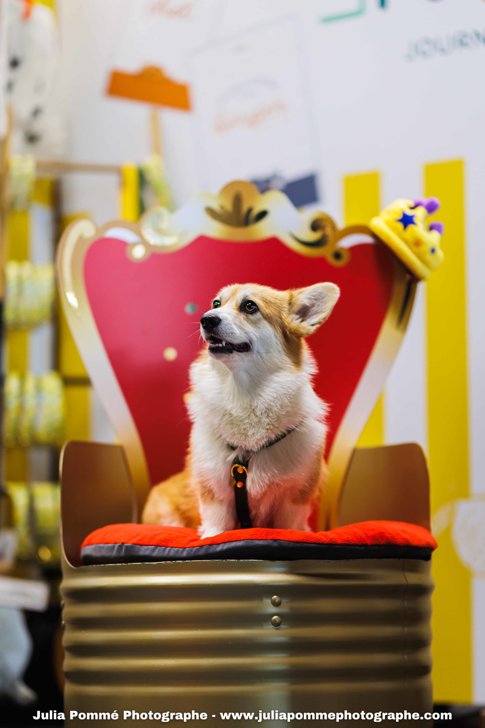 Photo du salon 2025 par Julia Pommé Photographe.