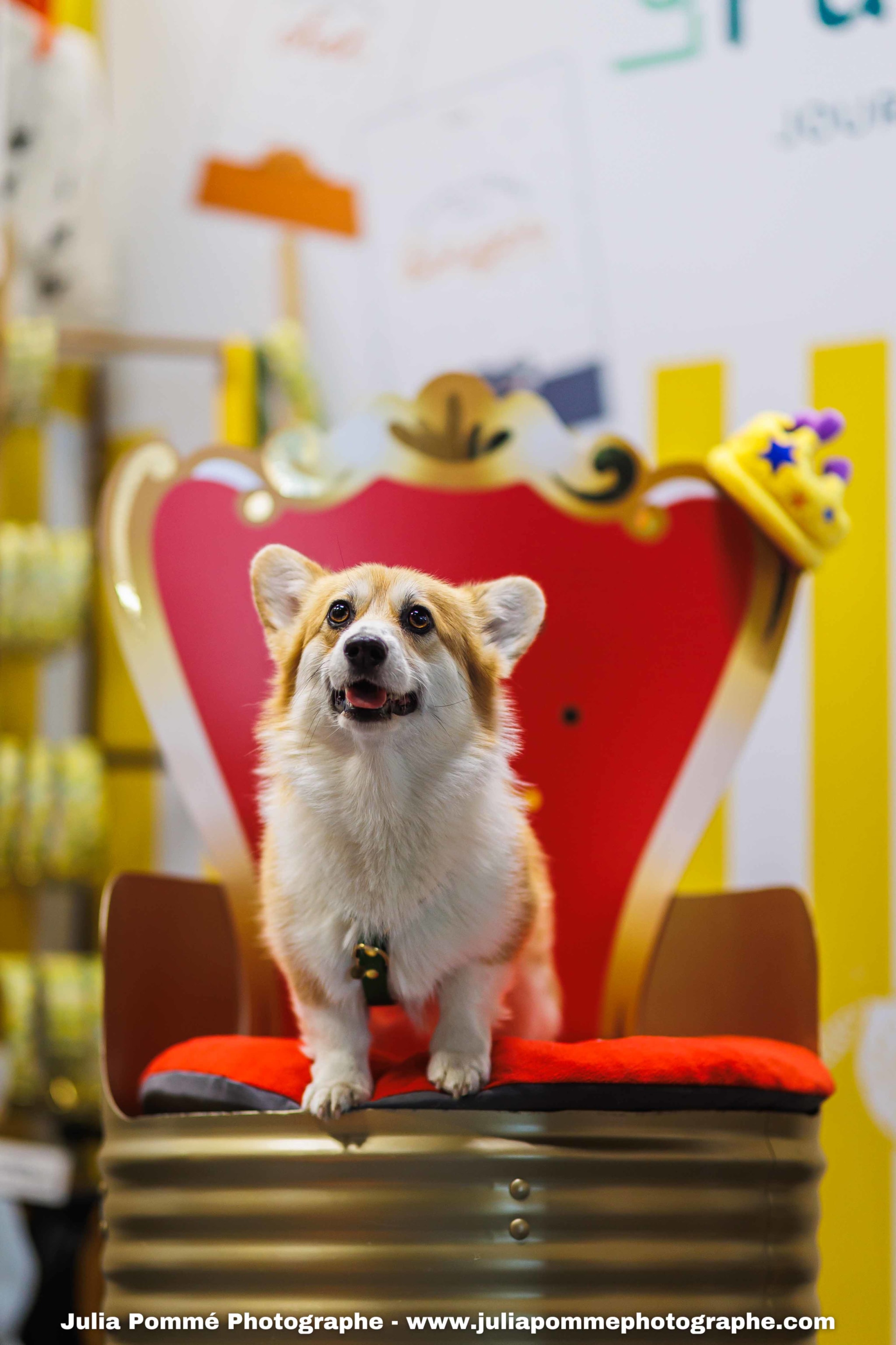 Photo du salon 2025 par Julia Pommé Photographe.