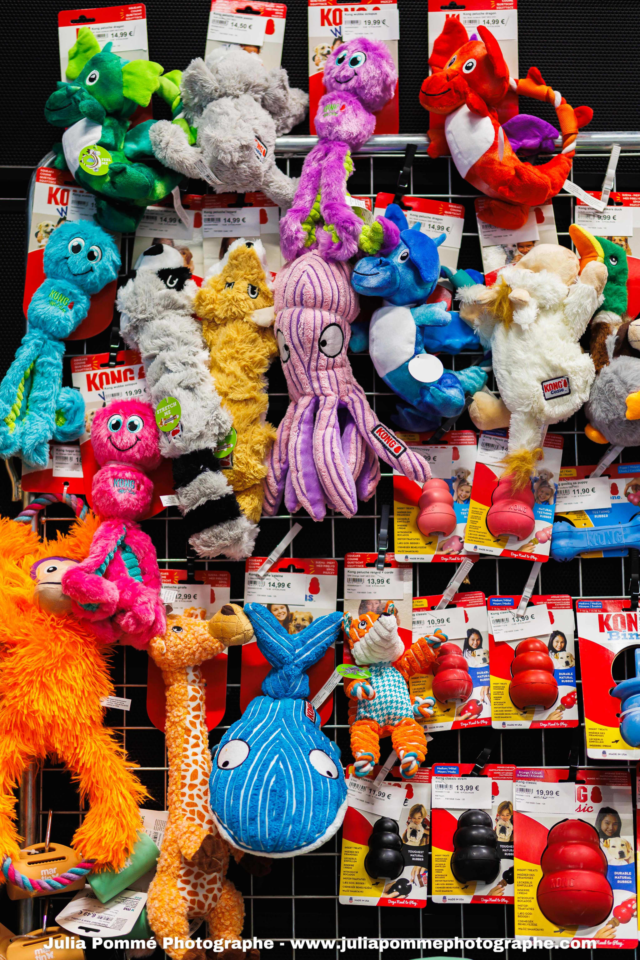 Photo du salon 2025 par Julia Pommé Photographe.