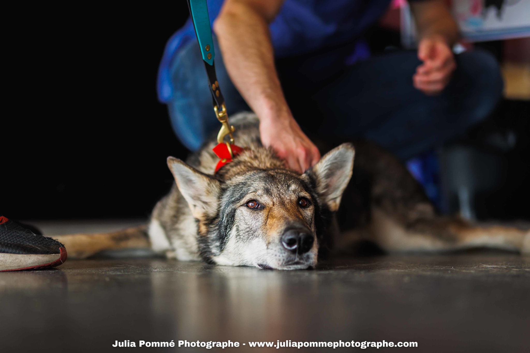 Photo du salon 2025 par Julia Pommé Photographe.