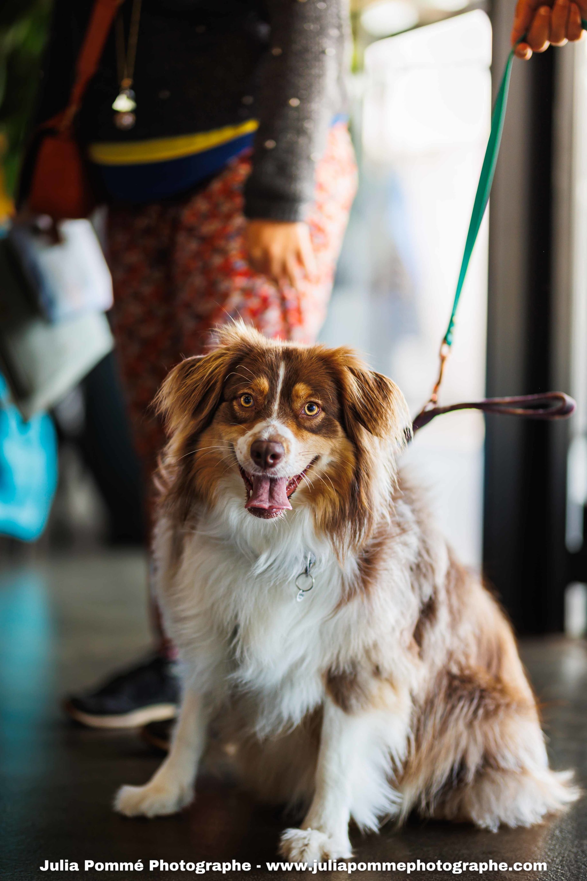 Photo du salon 2025 par Julia Pommé Photographe.