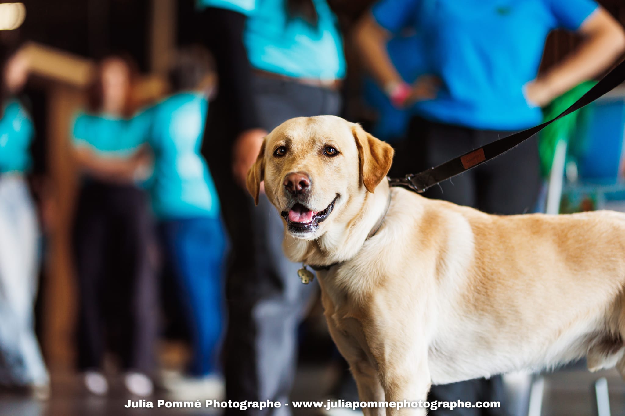 Photo du salon 2025 par Julia Pommé Photographe.