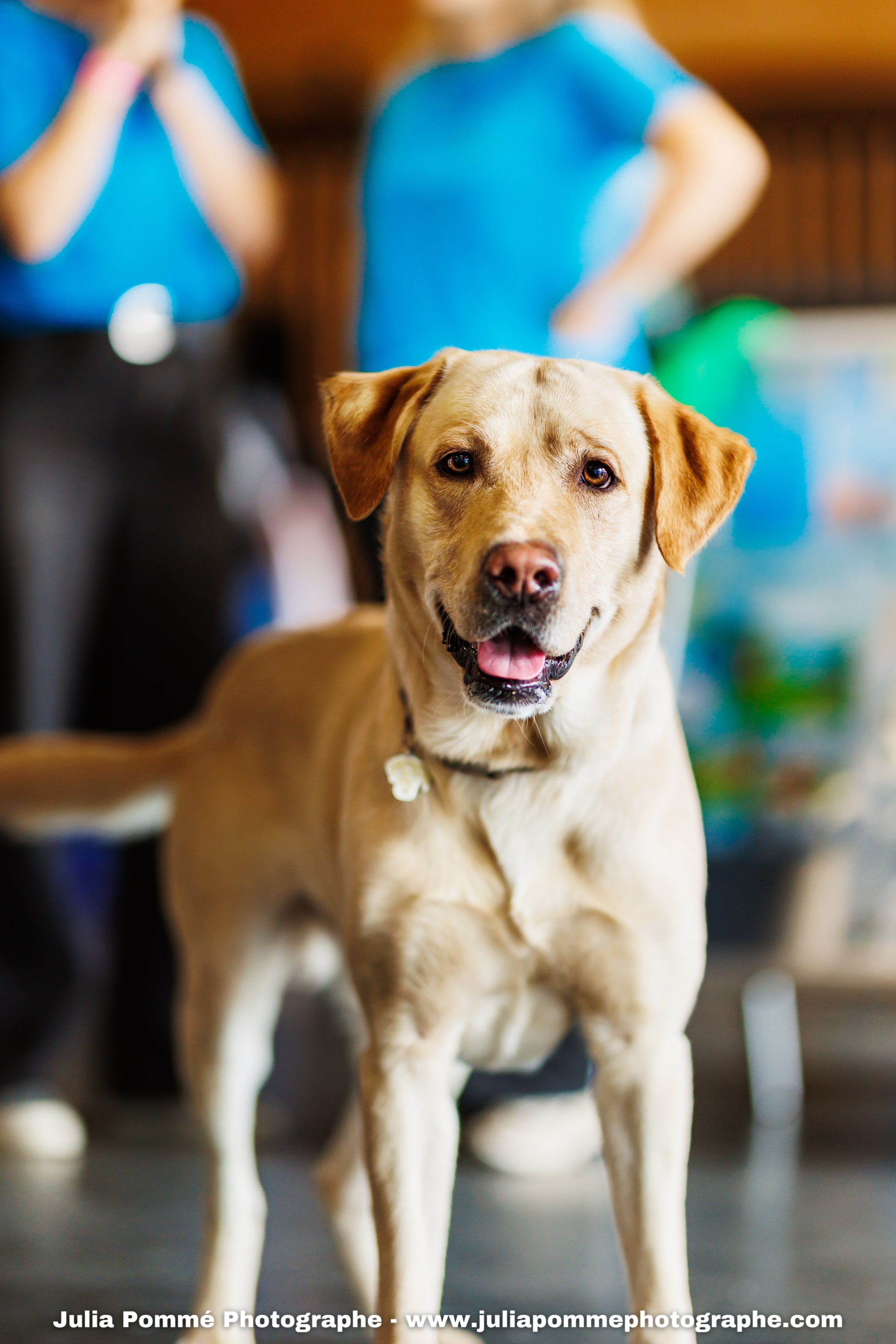 Photo du salon 2025 par Julia Pommé Photographe.