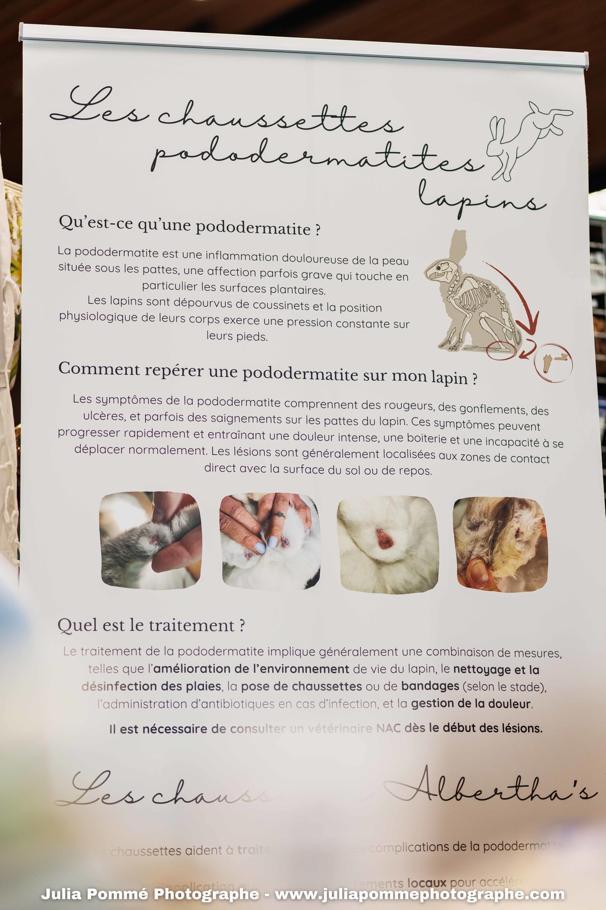 Photo du salon 2025 par Julia Pommé Photographe.