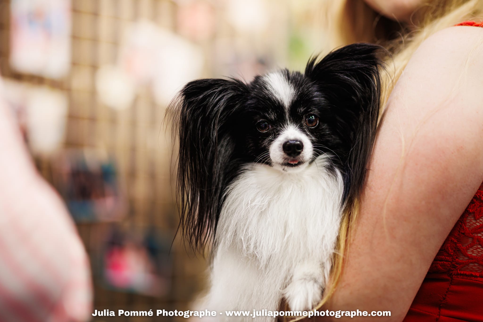 Photo du salon 2025 par Julia Pommé Photographe.
