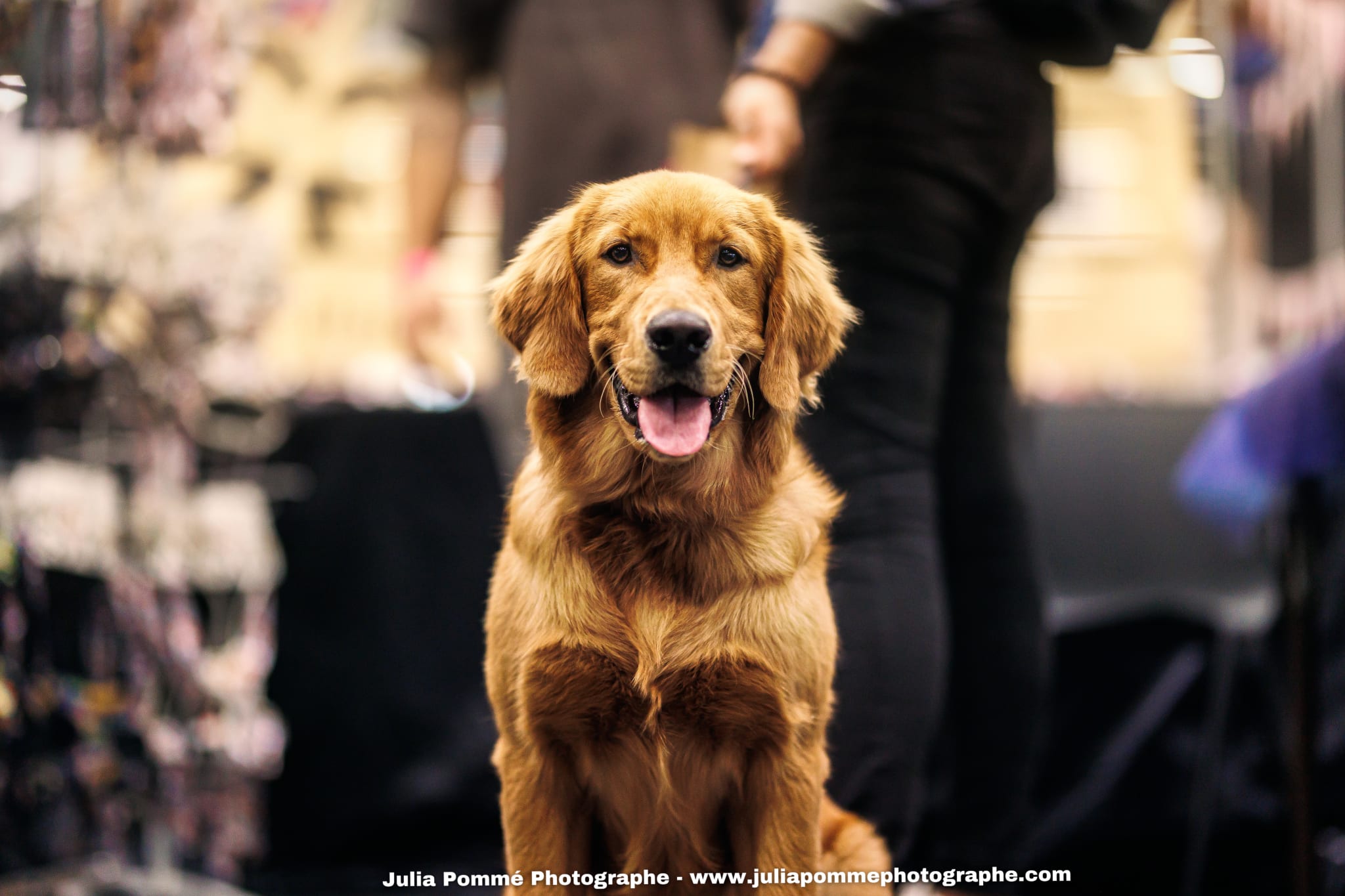 Photo du salon 2025 par Julia Pommé Photographe.