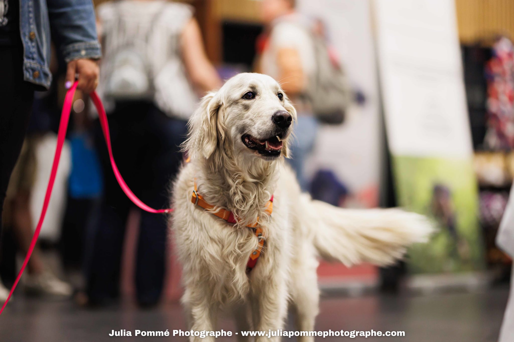 Photo du salon 2025 par Julia Pommé Photographe.