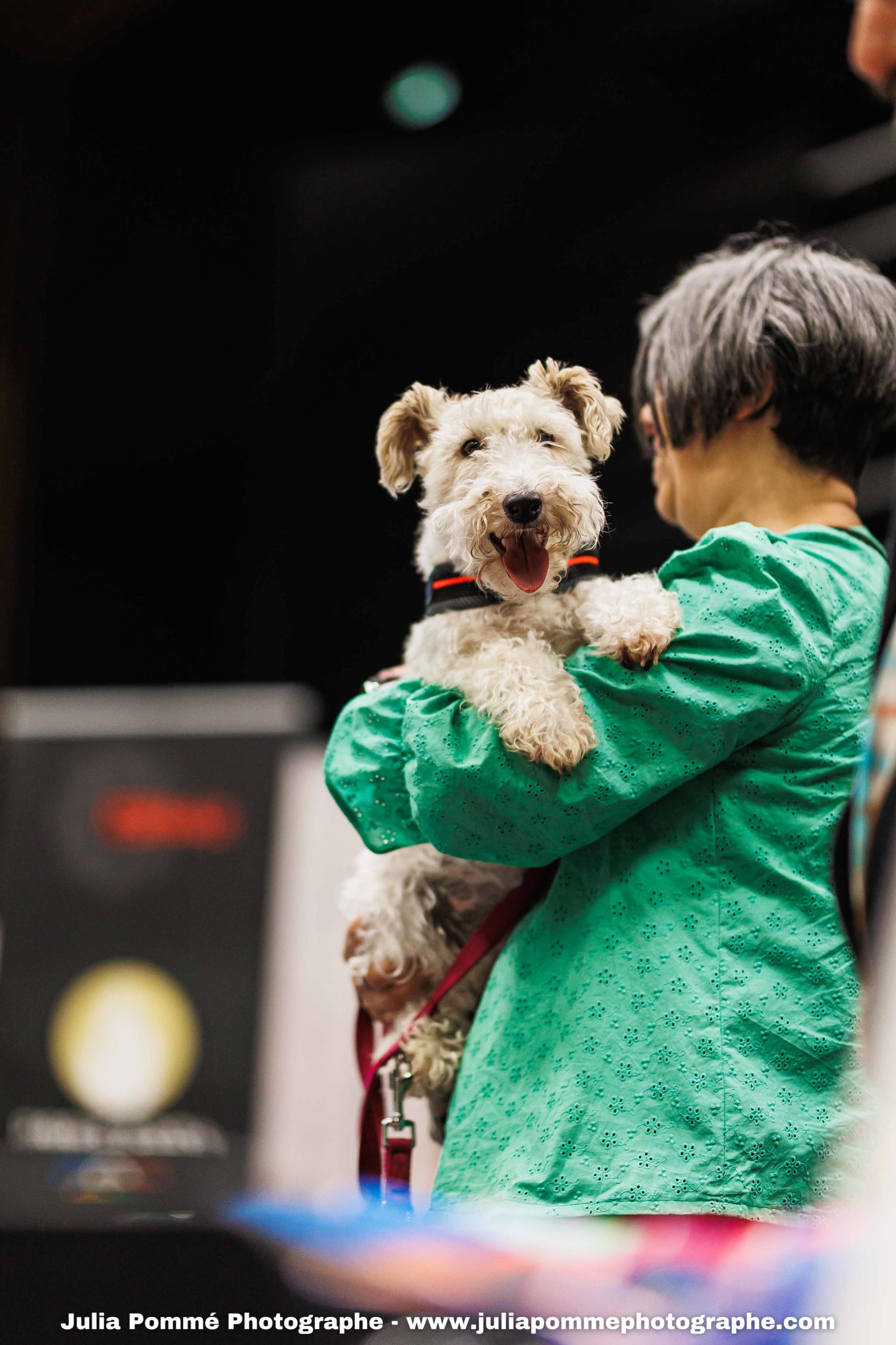 Photo du salon 2025 par Julia Pommé Photographe.