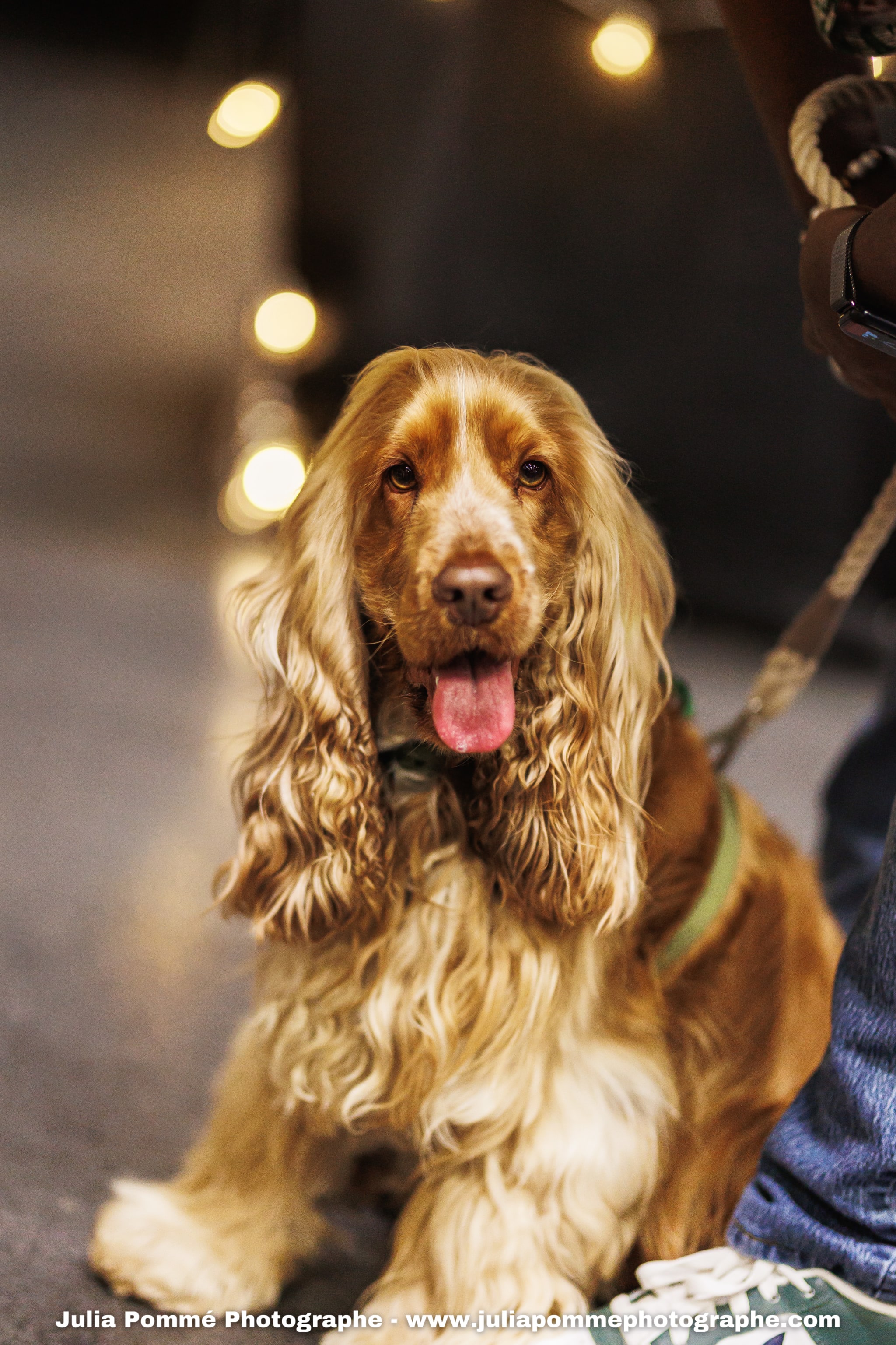 Photo du salon 2025 par Julia Pommé Photographe.
