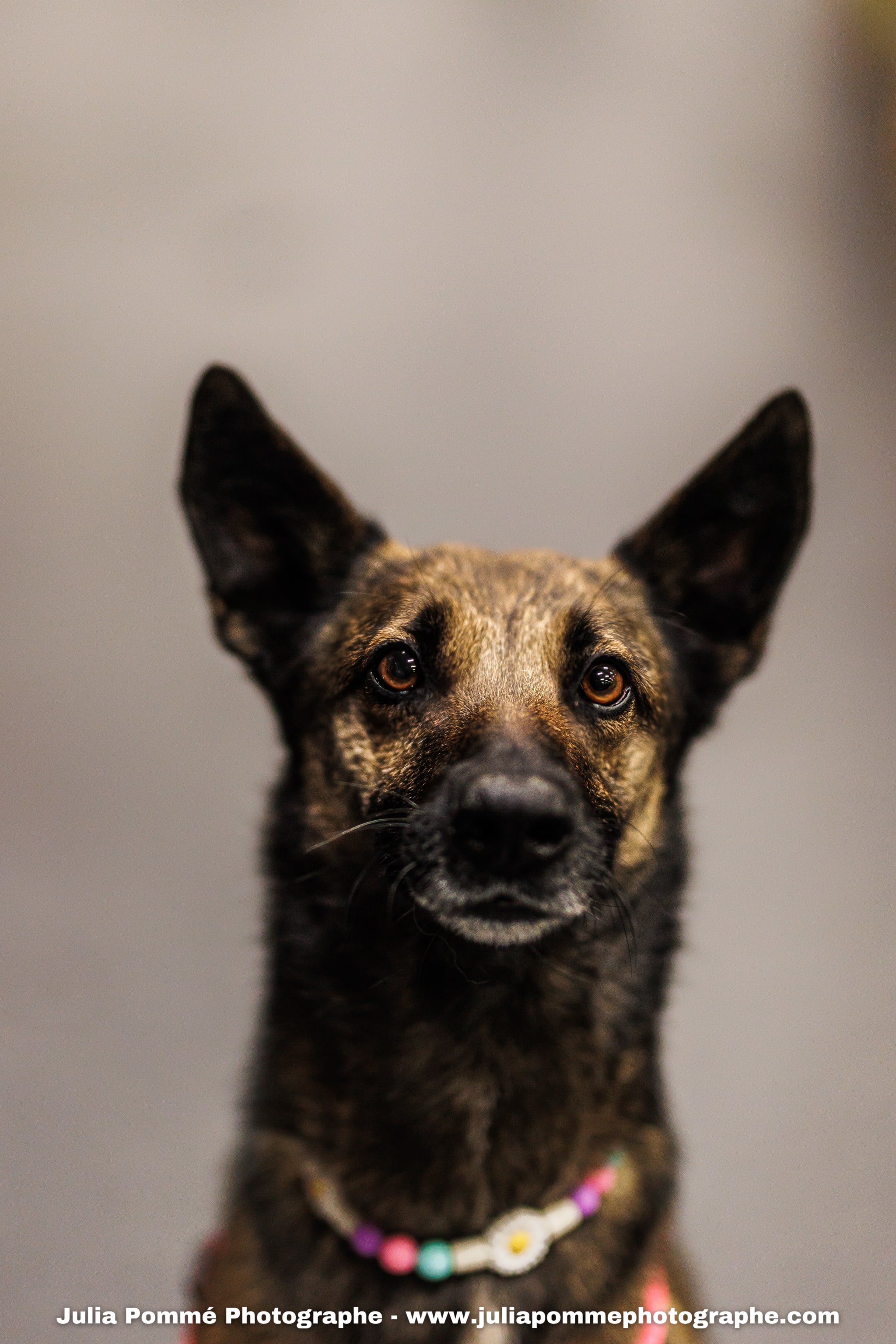 Photo du salon 2025 par Julia Pommé Photographe.