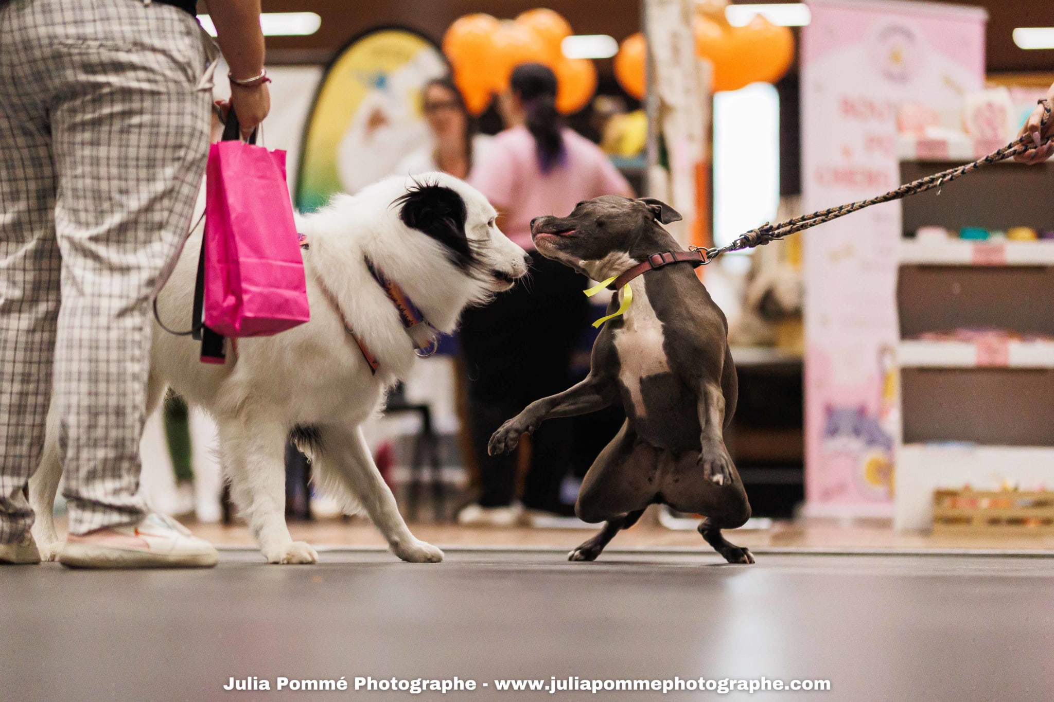 Photo du salon 2025 par Julia Pommé Photographe.