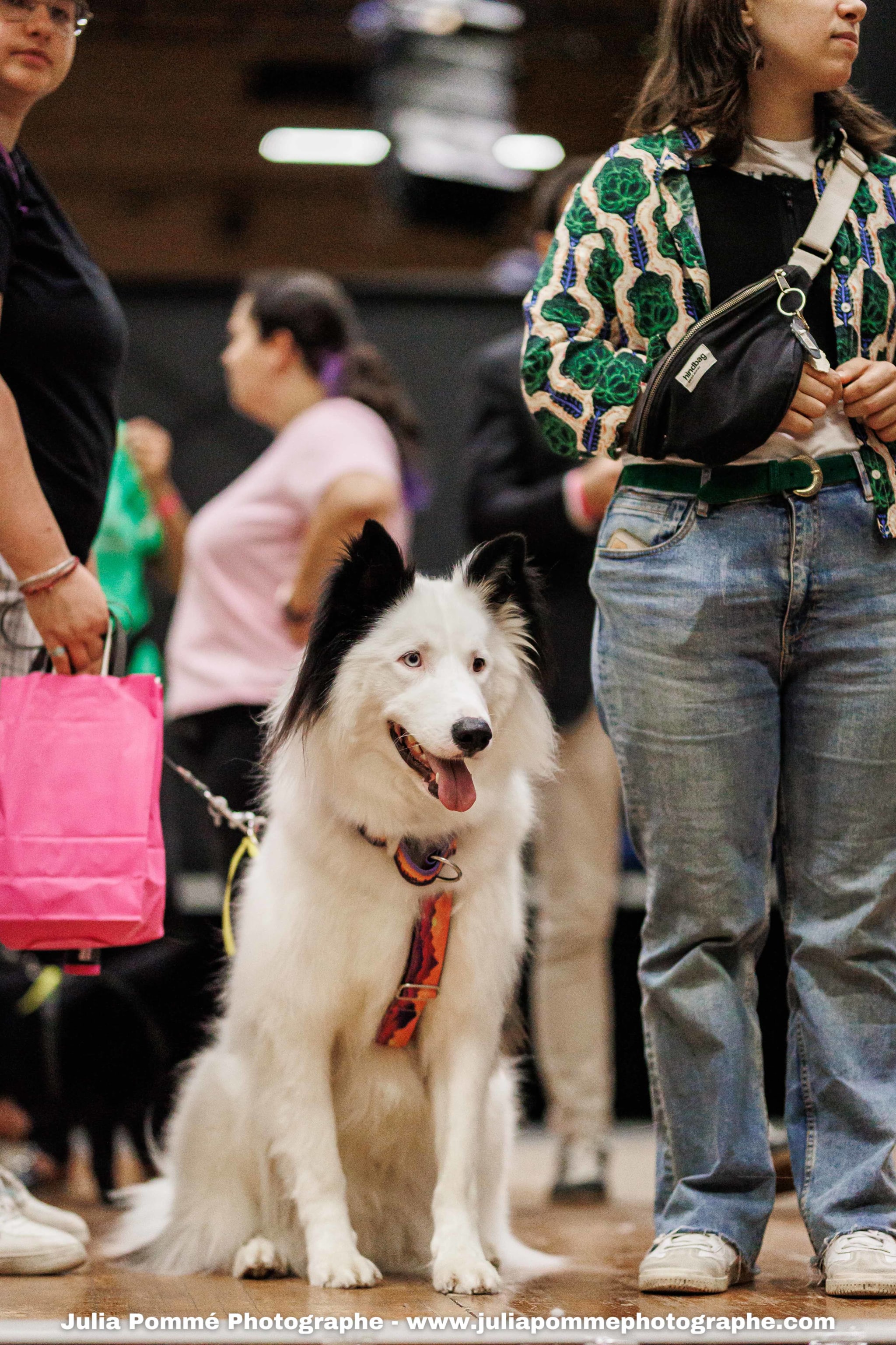 Photo du salon 2025 par Julia Pommé Photographe.