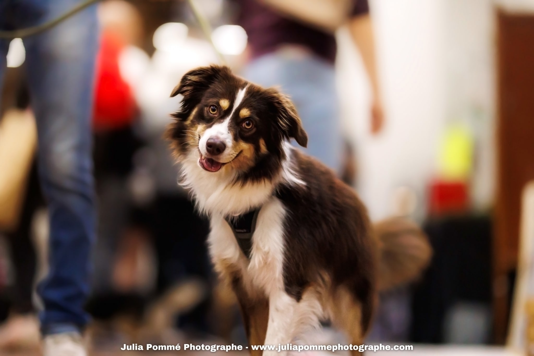 Photo du salon 2025 par Julia Pommé Photographe.