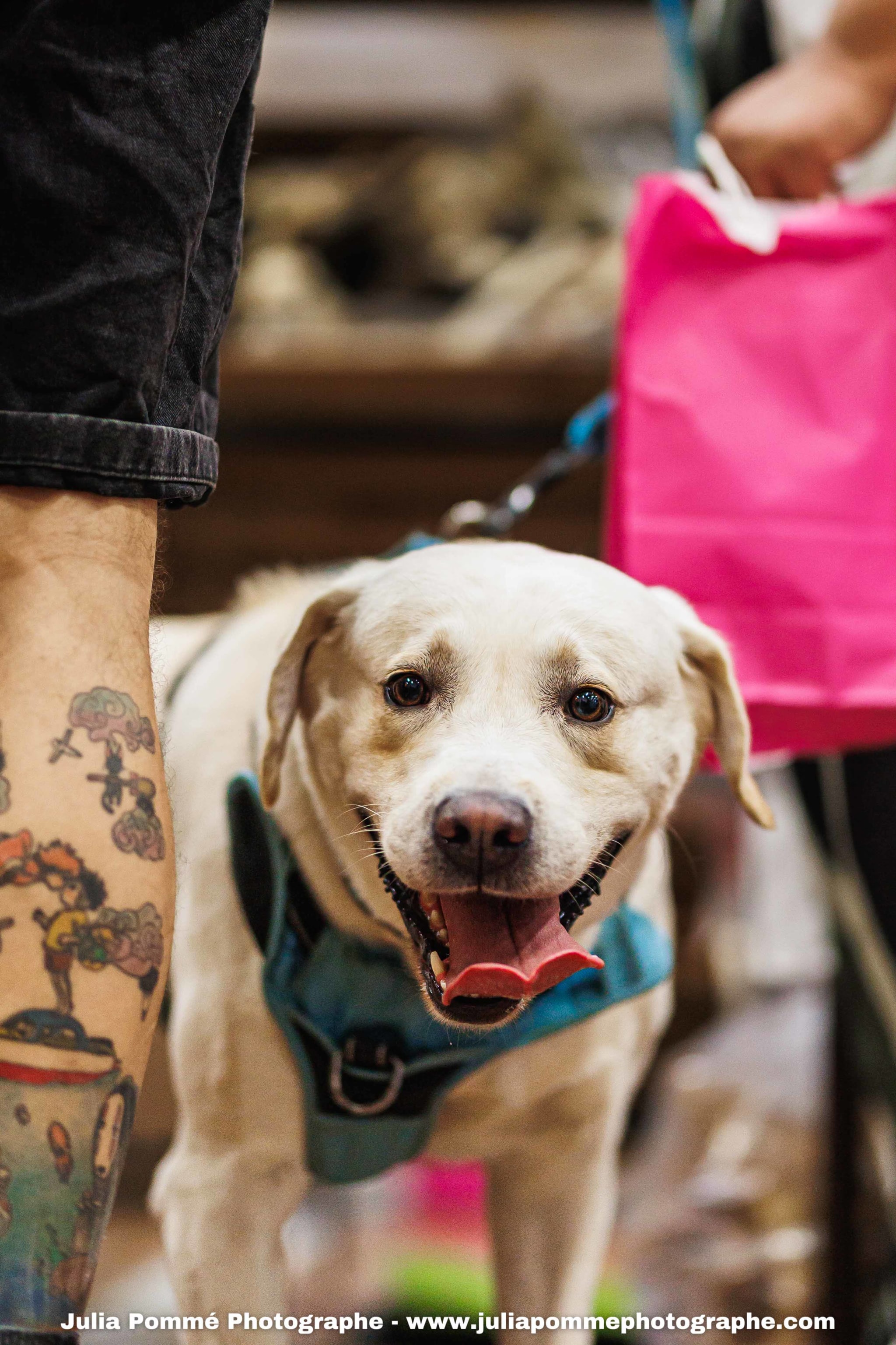 Photo du salon 2025 par Julia Pommé Photographe.