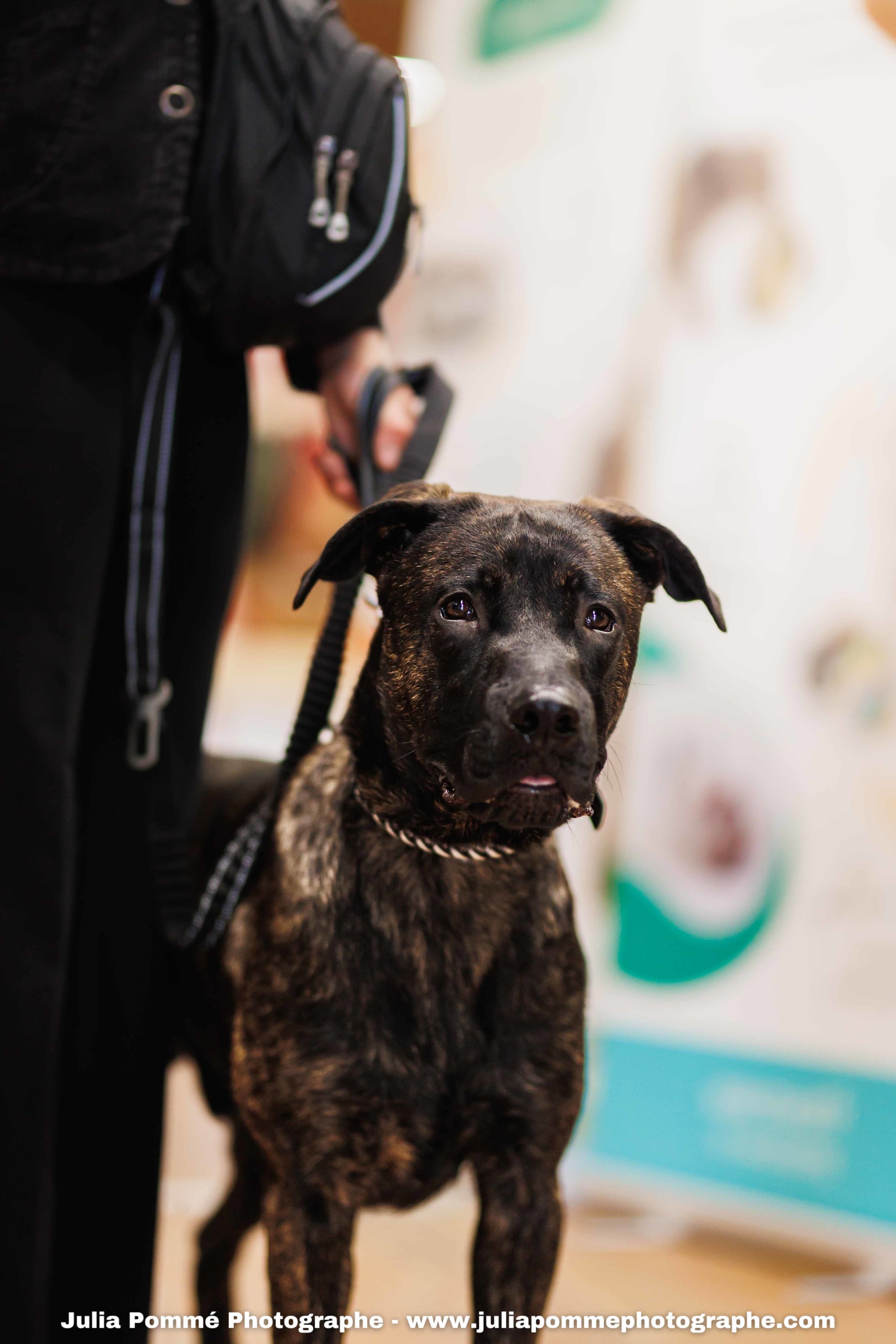 Photo du salon 2025 par Julia Pommé Photographe.