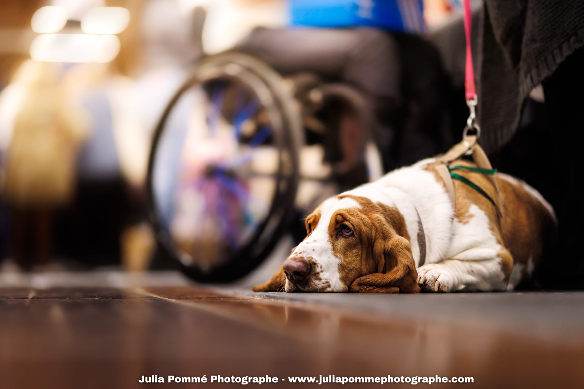 Photo du salon 2025 par Julia Pommé Photographe.