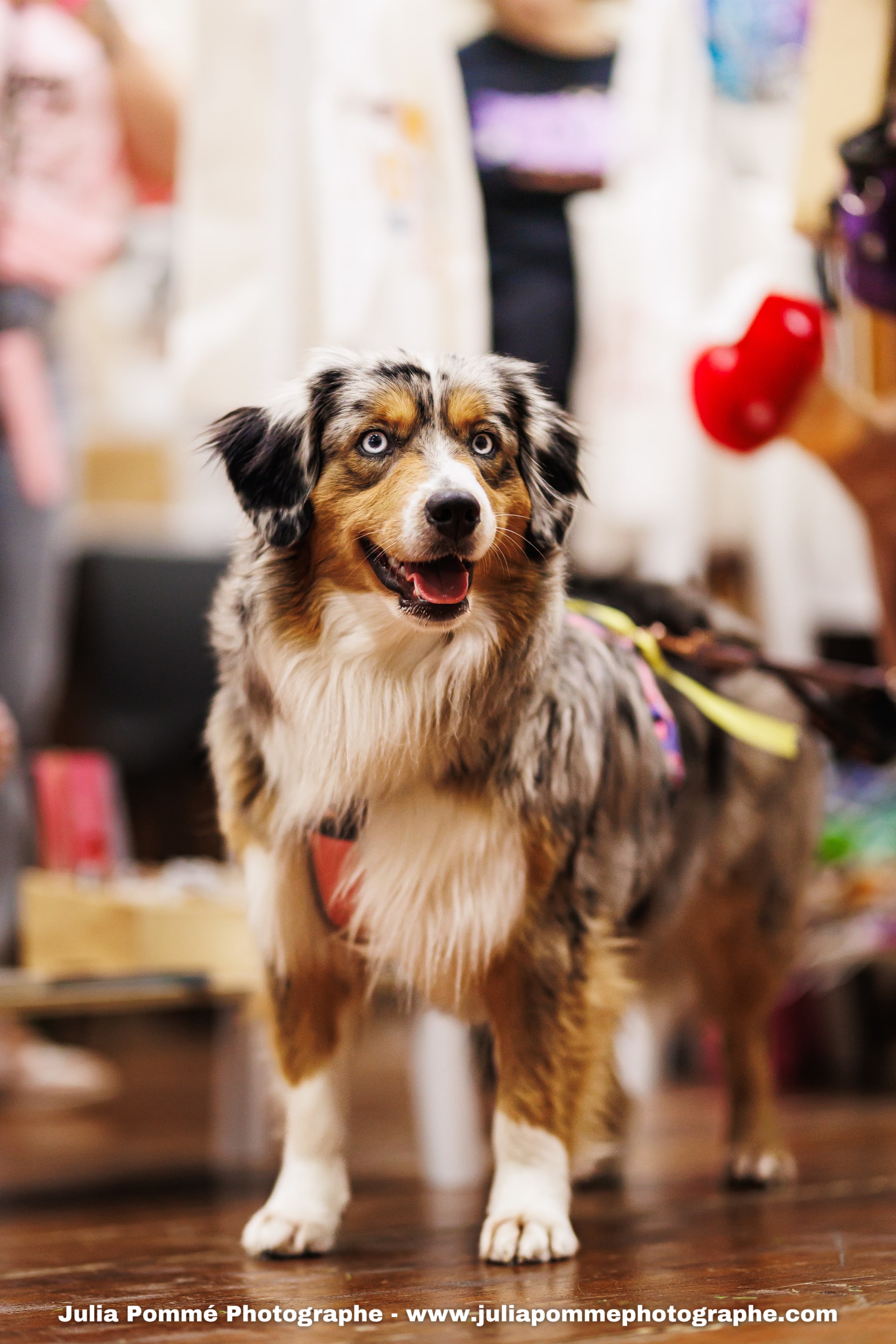 Photo du salon 2025 par Julia Pommé Photographe.