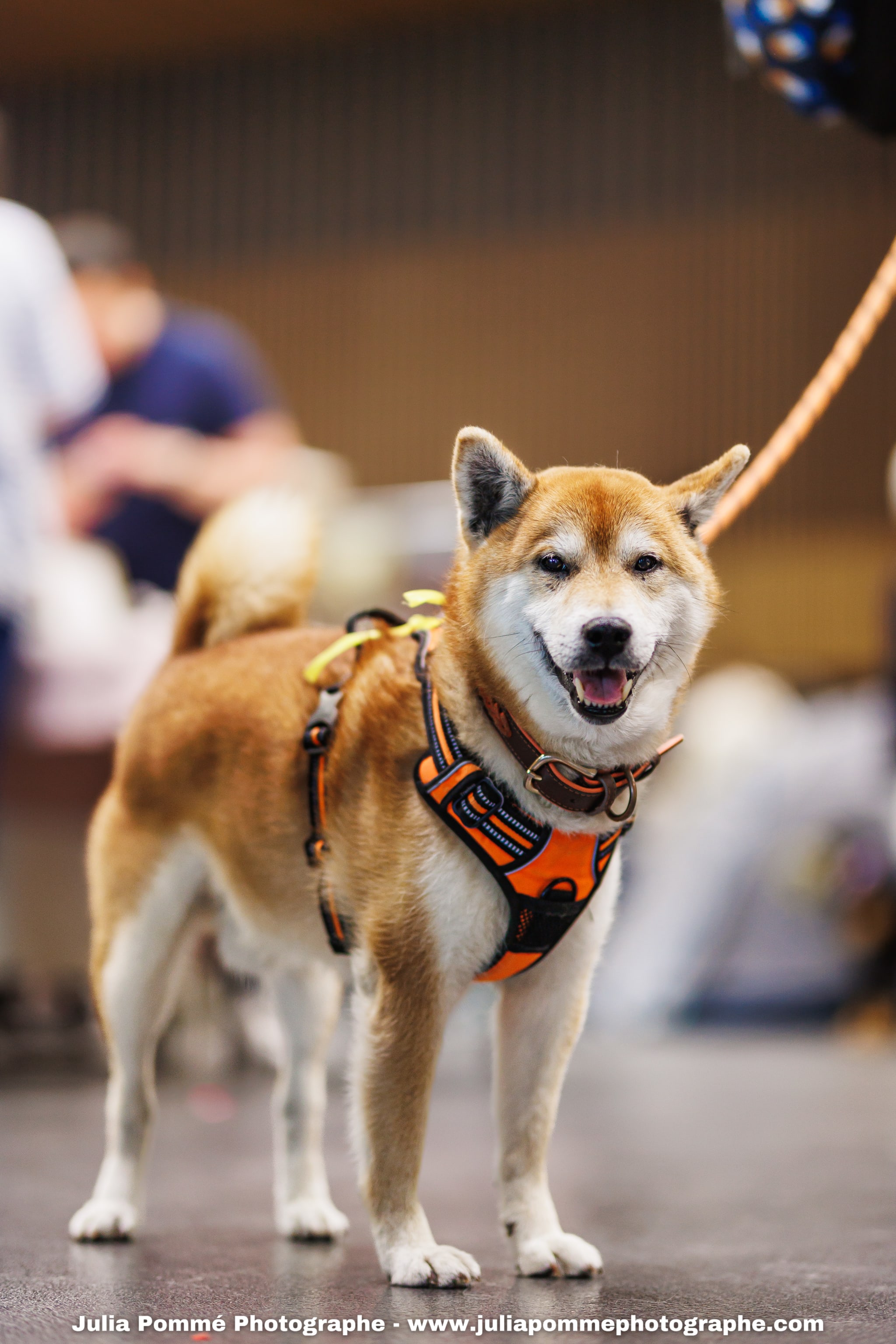Photo du salon 2025 par Julia Pommé Photographe.