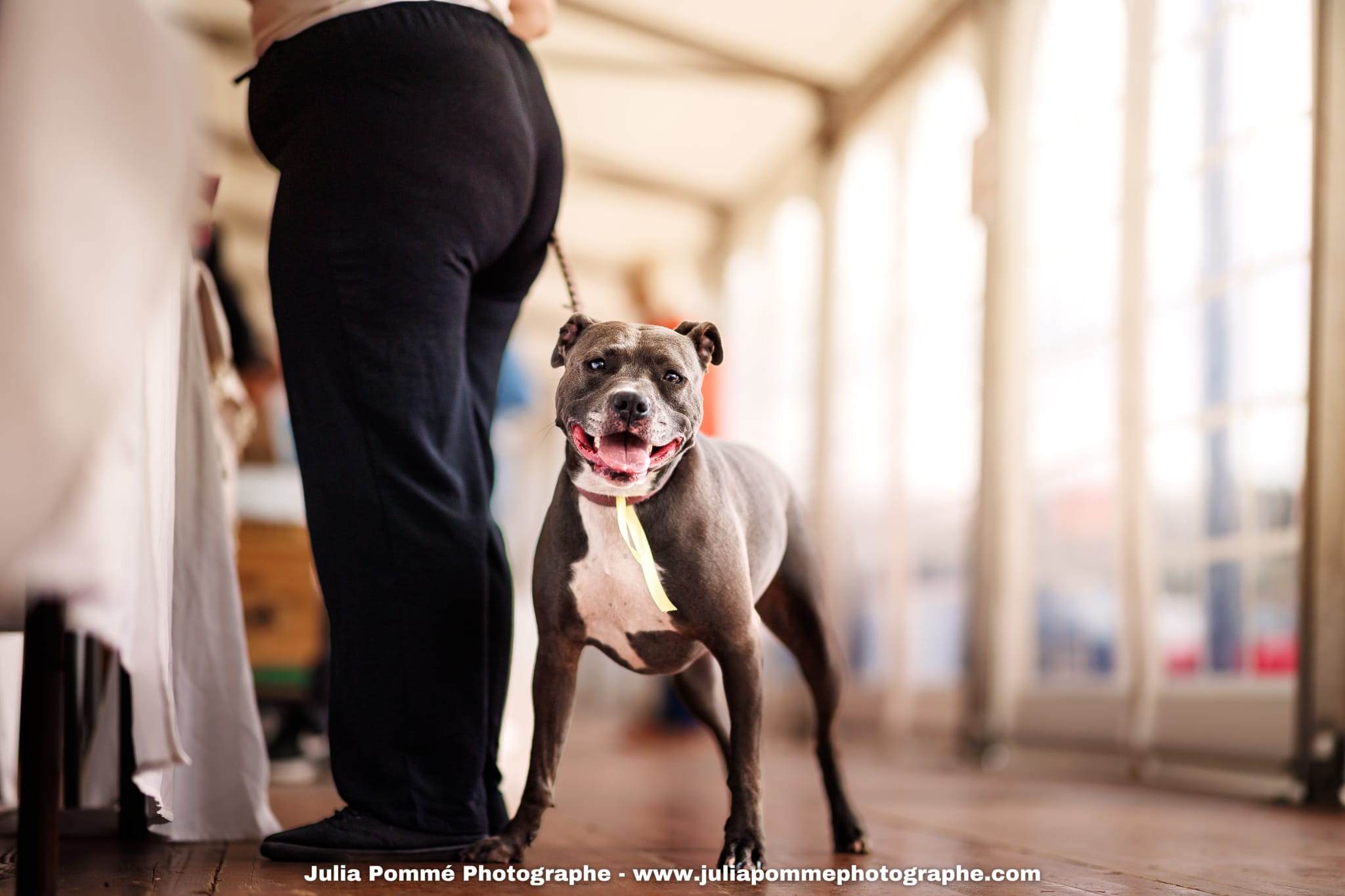Photo du salon 2025 par Julia Pommé Photographe.